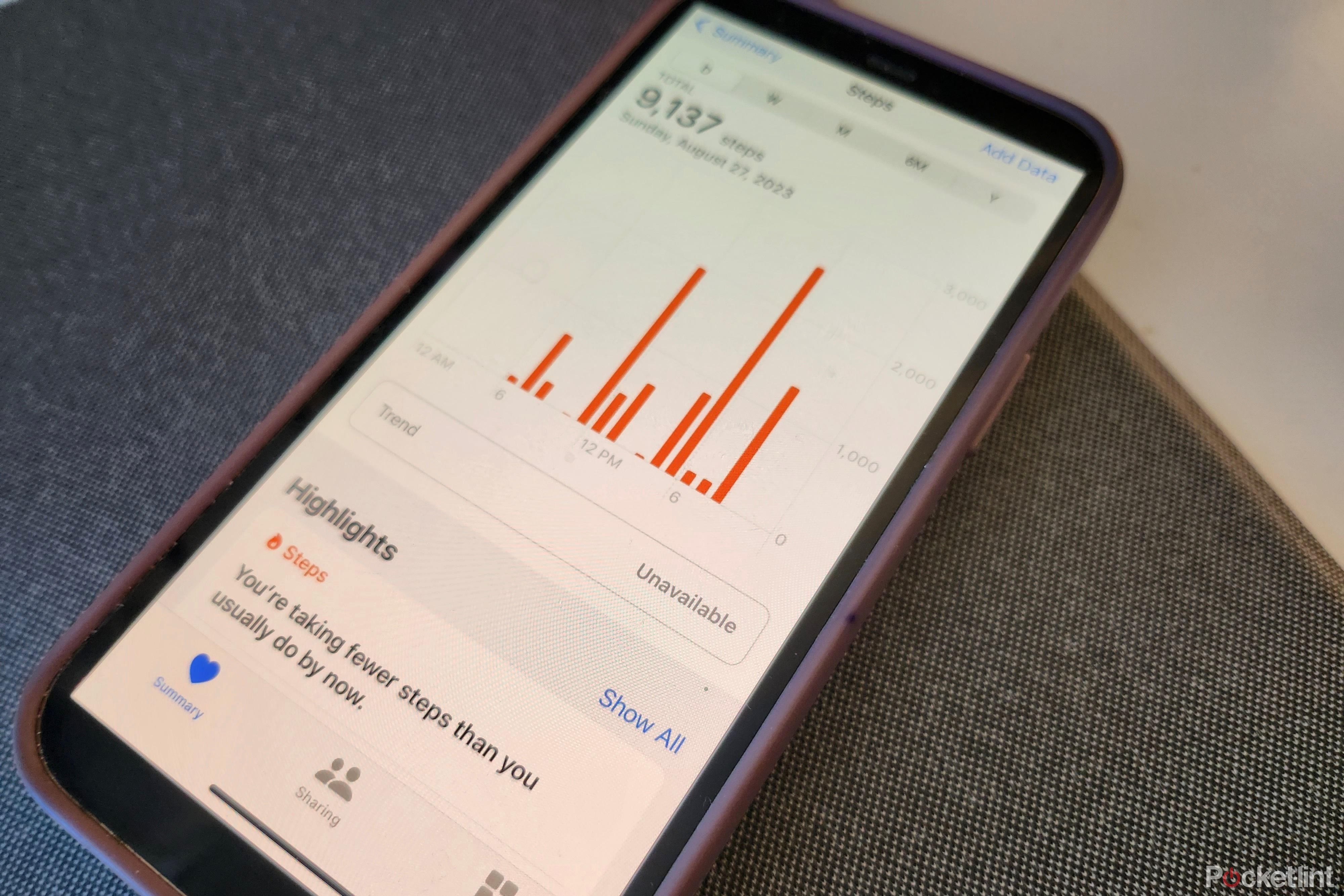 Step tracker graphs in the Apple Health app