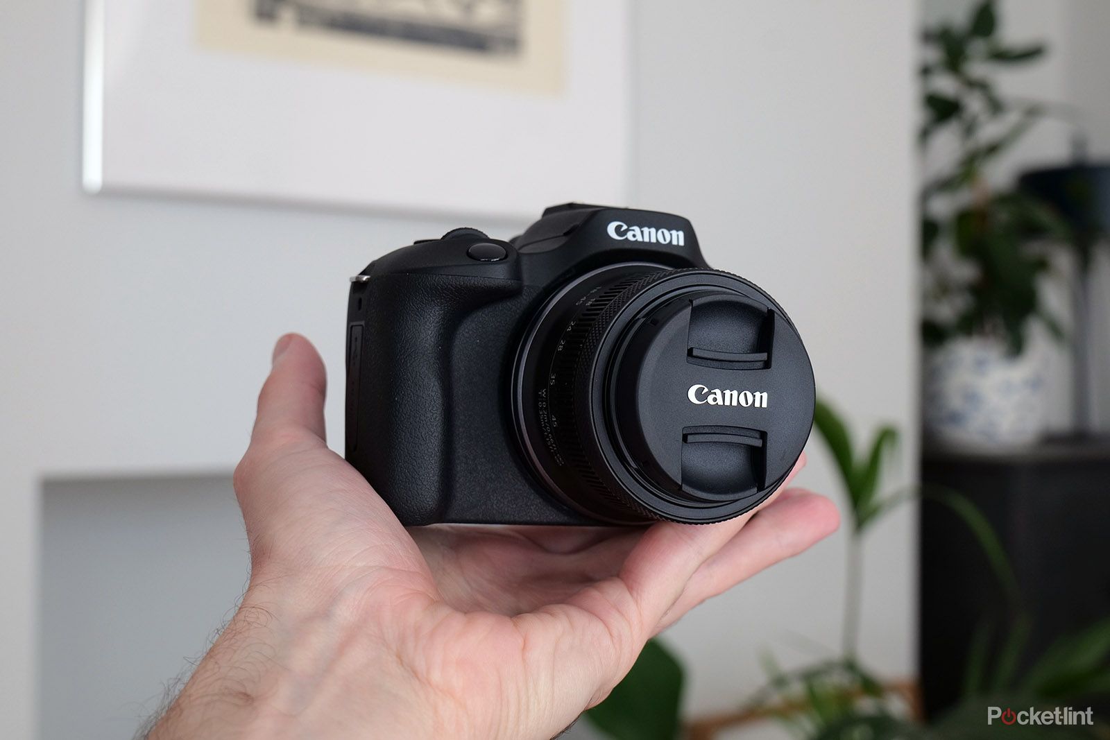 Canon EOS R100 review: Is this entry-level mirrorless a gem or a miss? -  BusinessToday