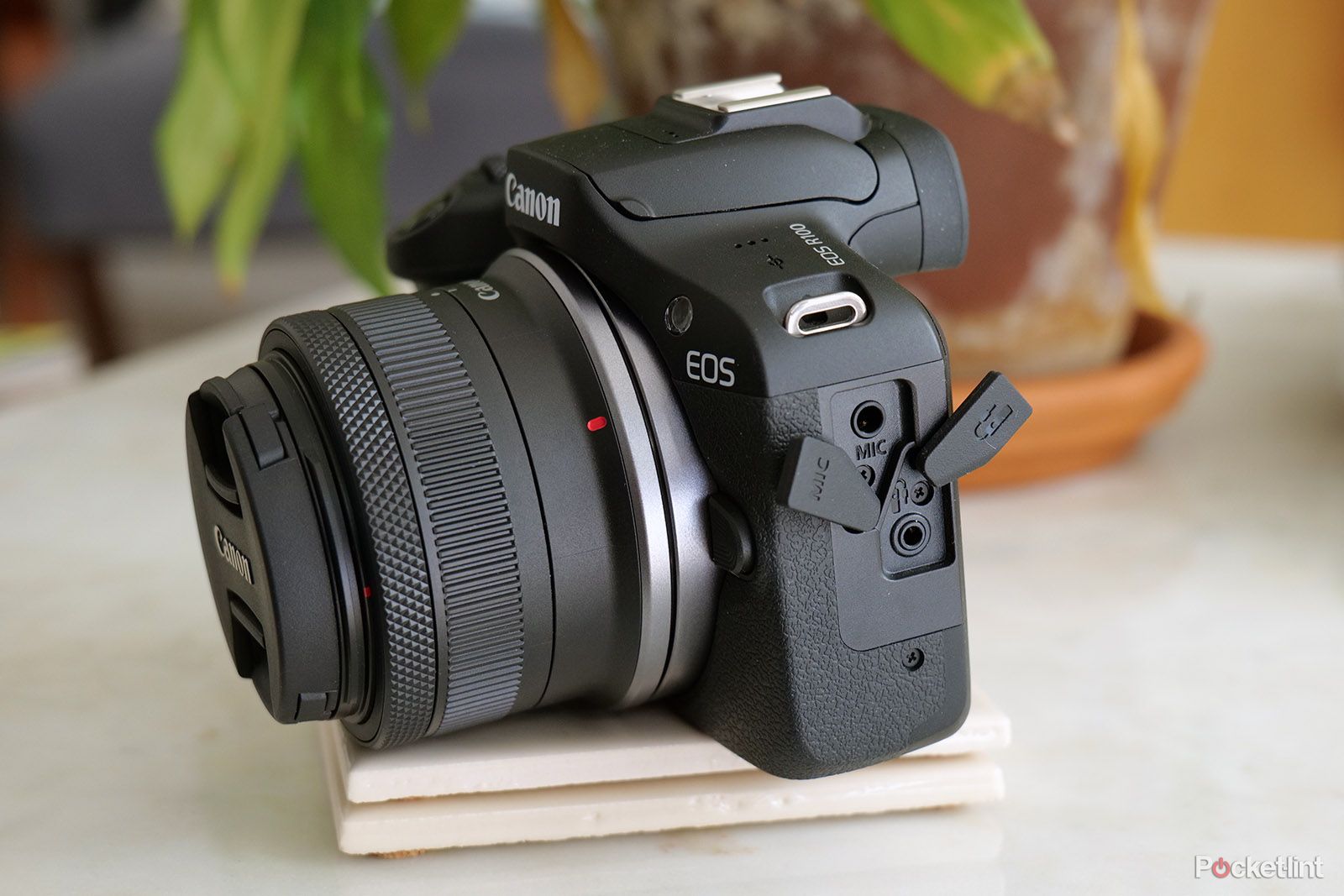 Canon EOS R100 Review: It Feels Like an Old Camera, and Not in a Good Way