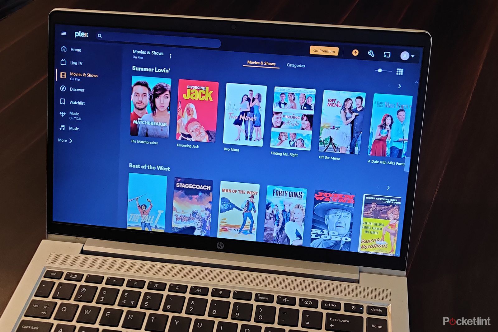 Plex Movies and Shows screen on a laptop