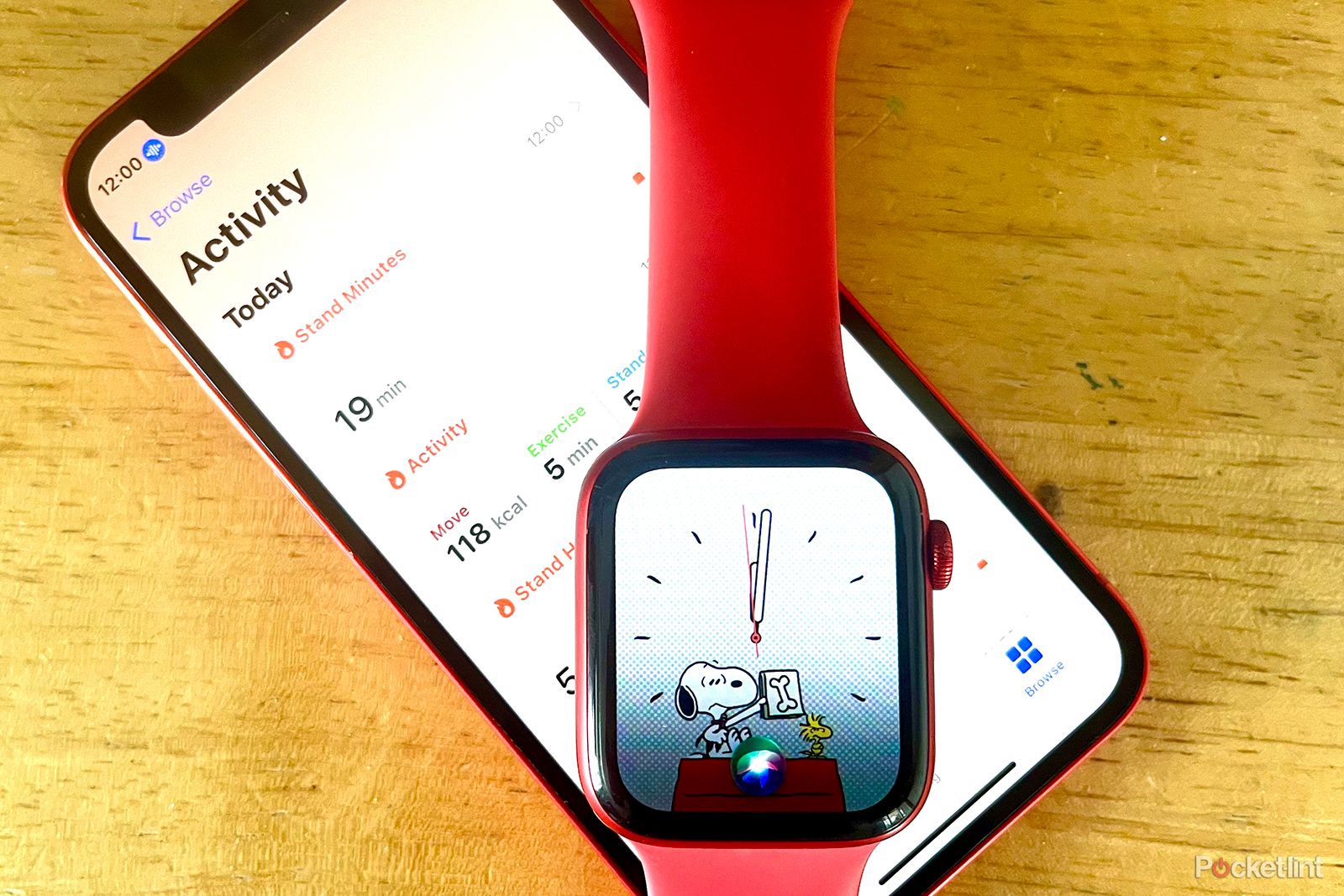 Siri on Apple Watch Health app on iPhone