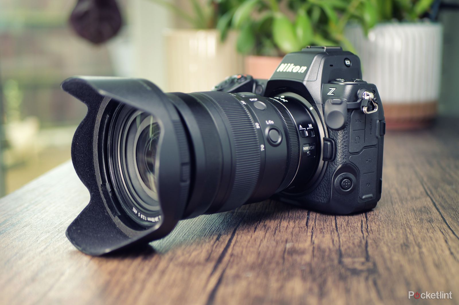 NIKON Z8 - A Small Powerhouse - PRONEWS