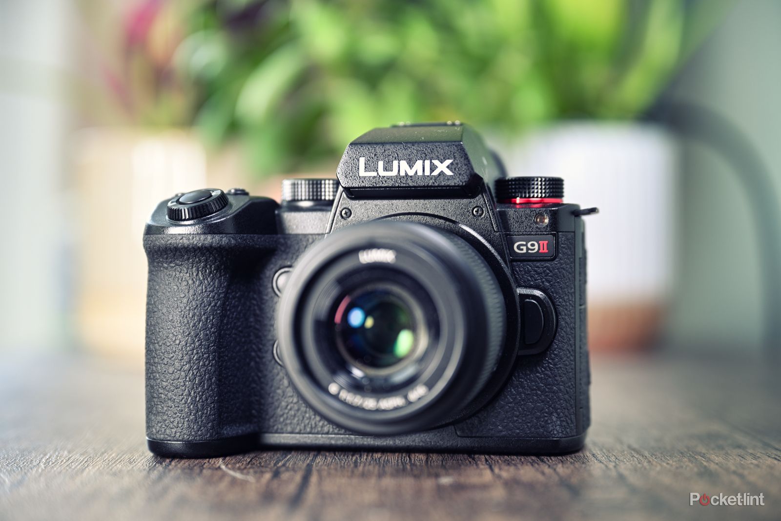 Best Mirrorless Cameras Best Affordable Beginner Camera Best