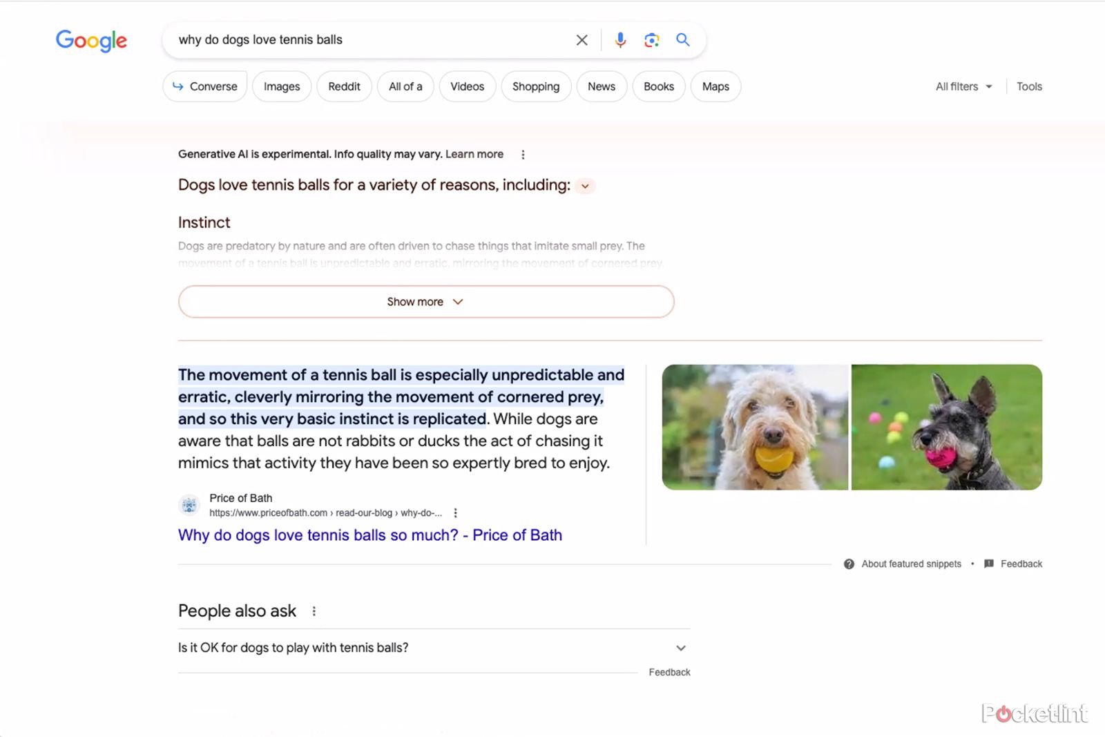Google AI generative SERP screenshot