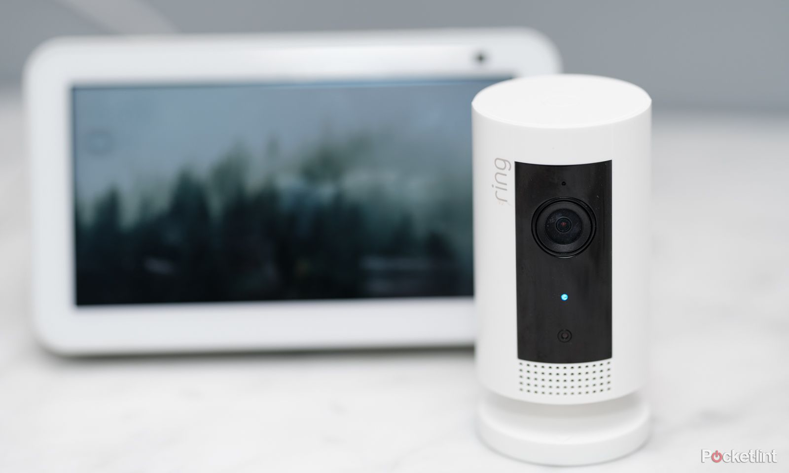 A Ring camera is shown next to an Echo Show