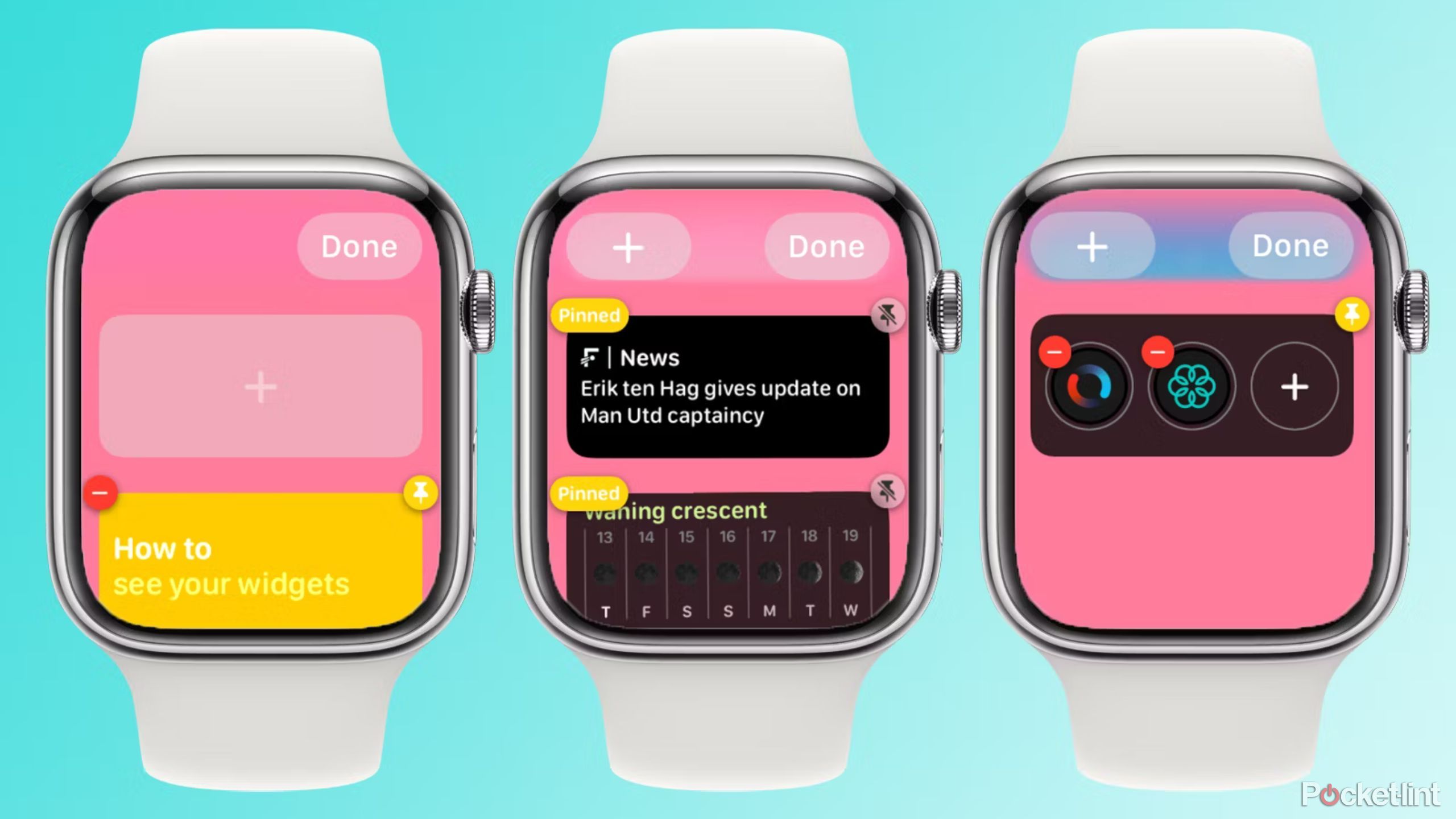 Apple Watch Editing Gadget Screenshot (1)