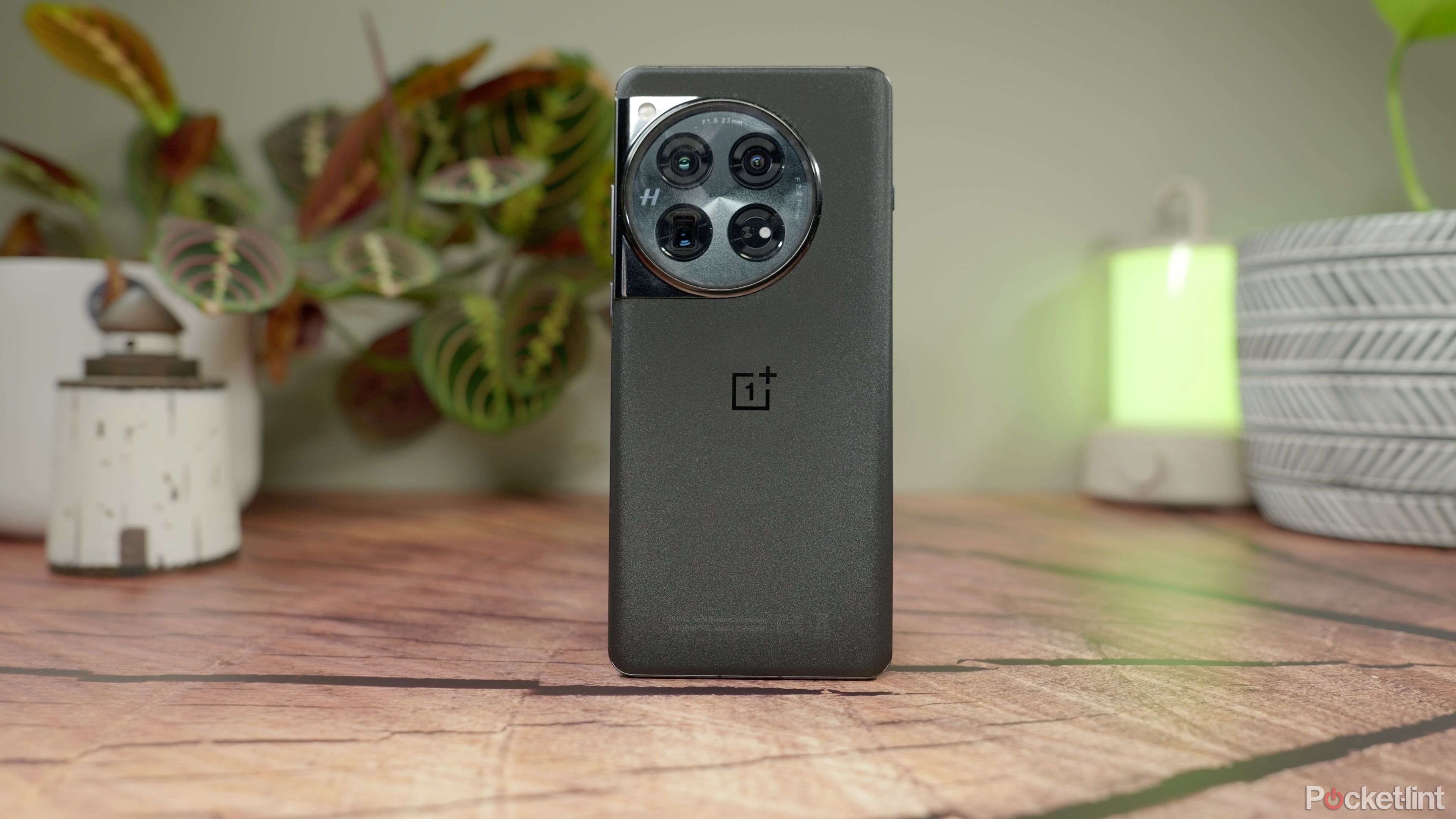 OnePLus 12 review - back - standing