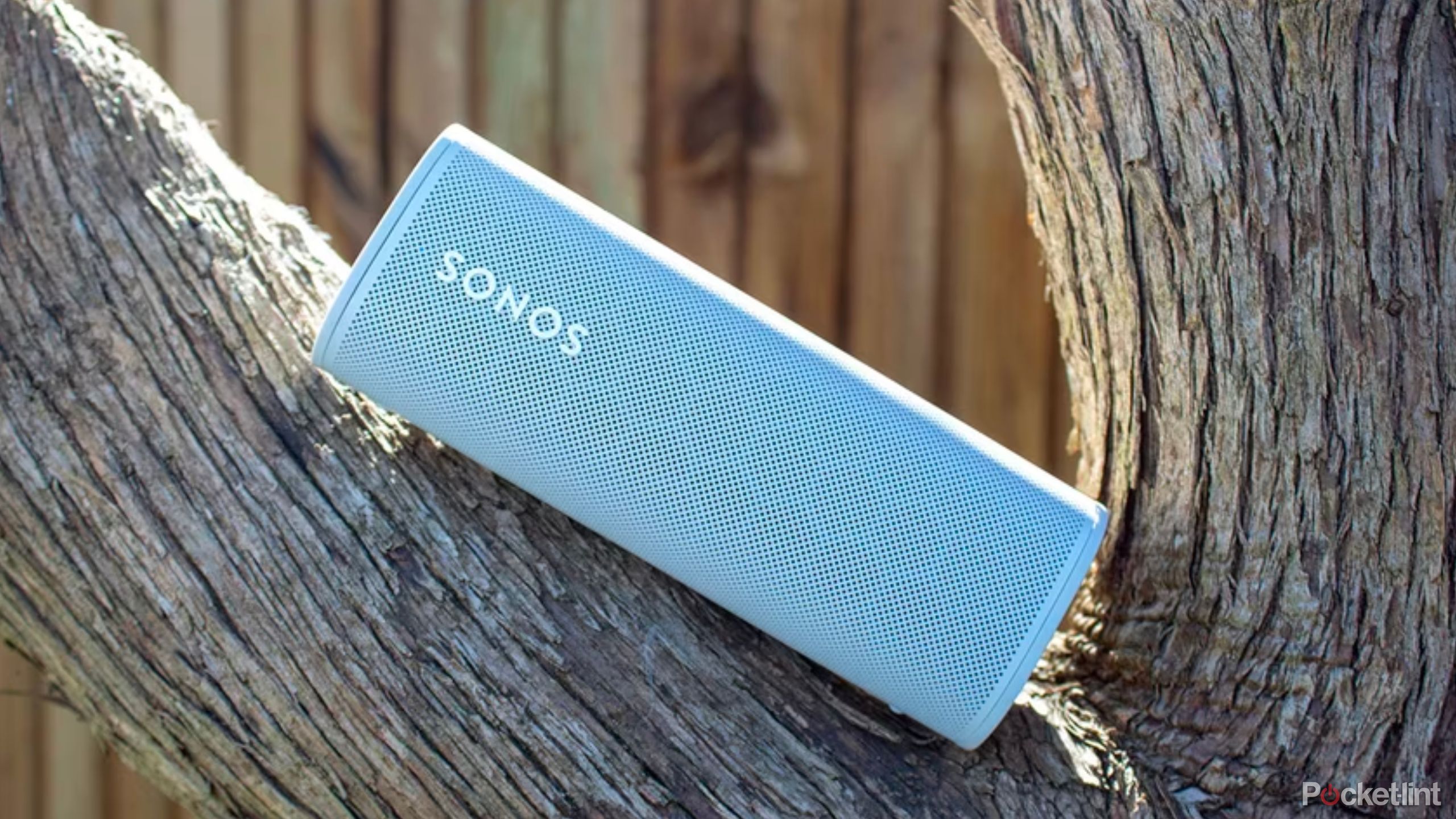 Sonos roaming in the trees