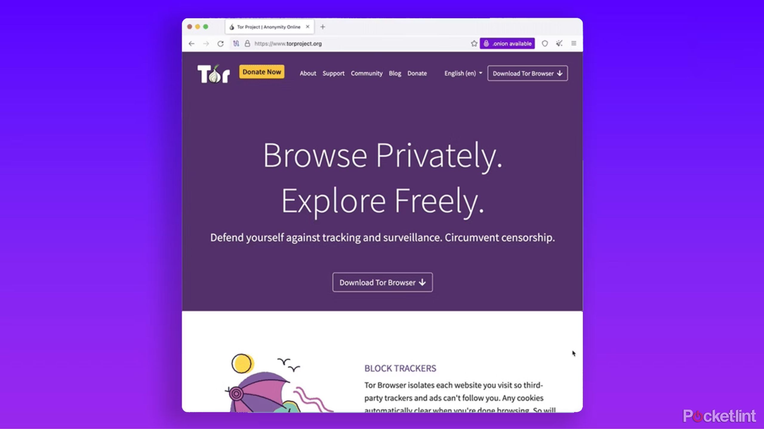 Tor browser feature image