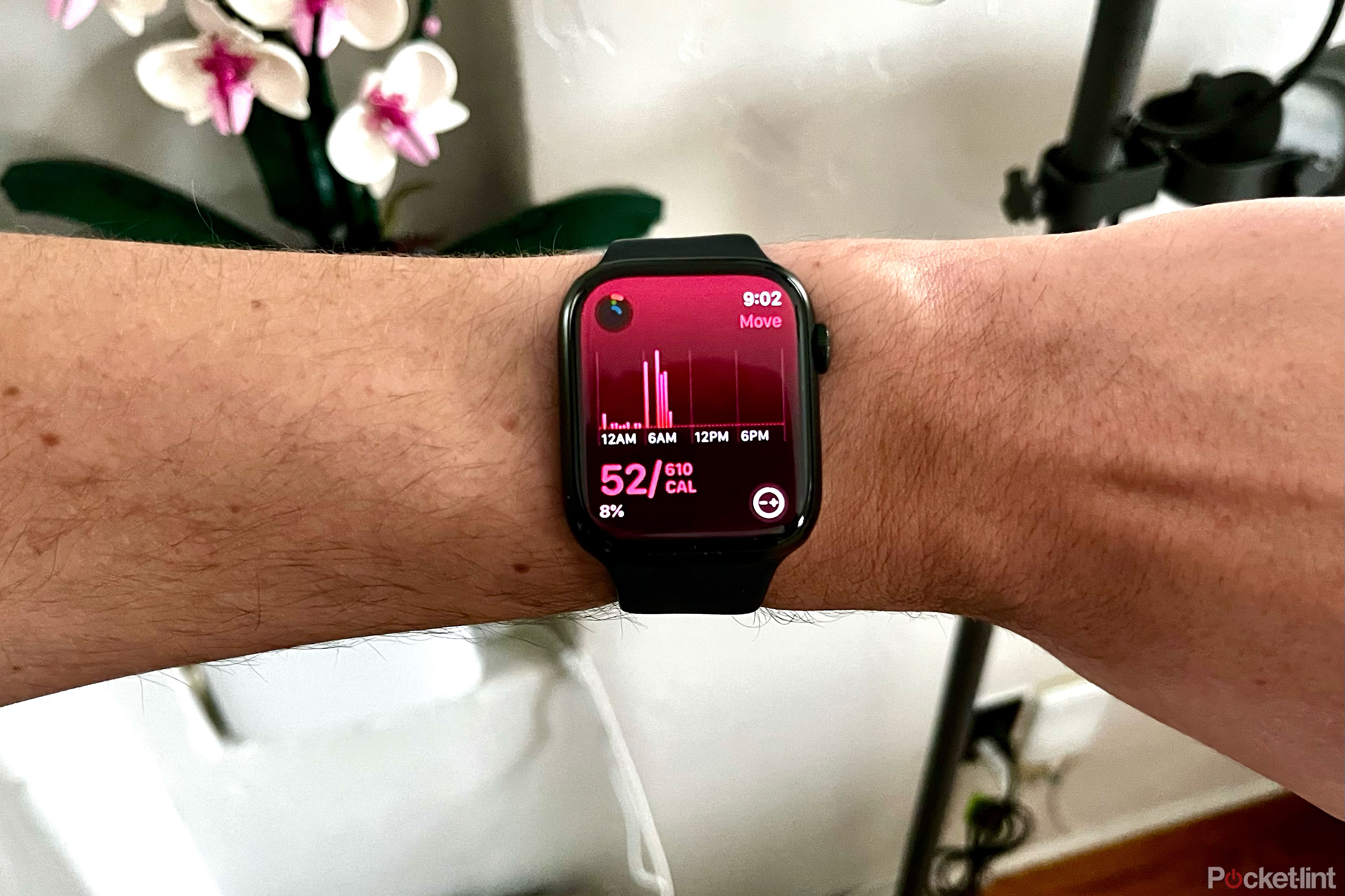 The Activity app on the Apple Watch.