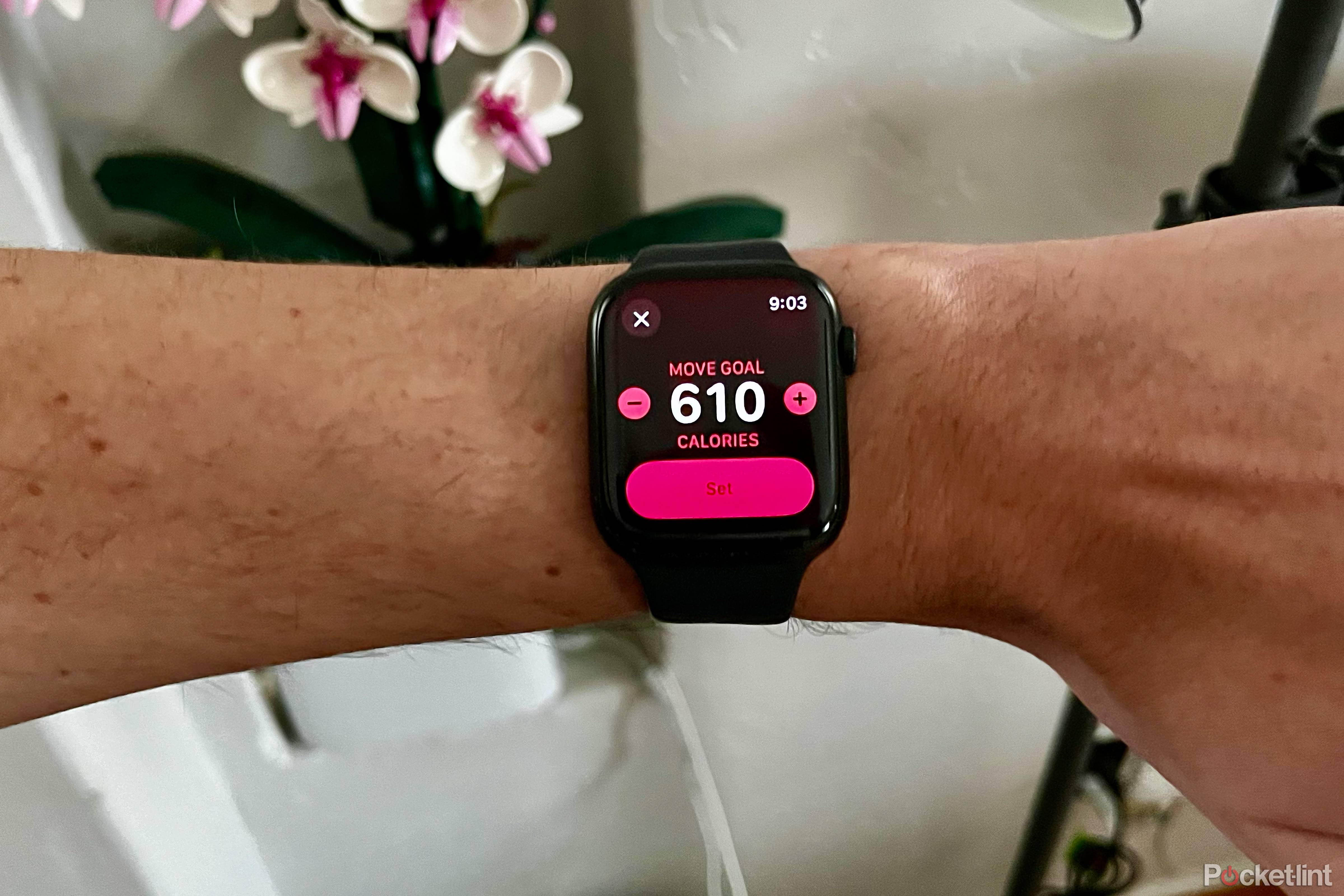 Change Goals How Does The Move Goal Work On Apple Watch Activity