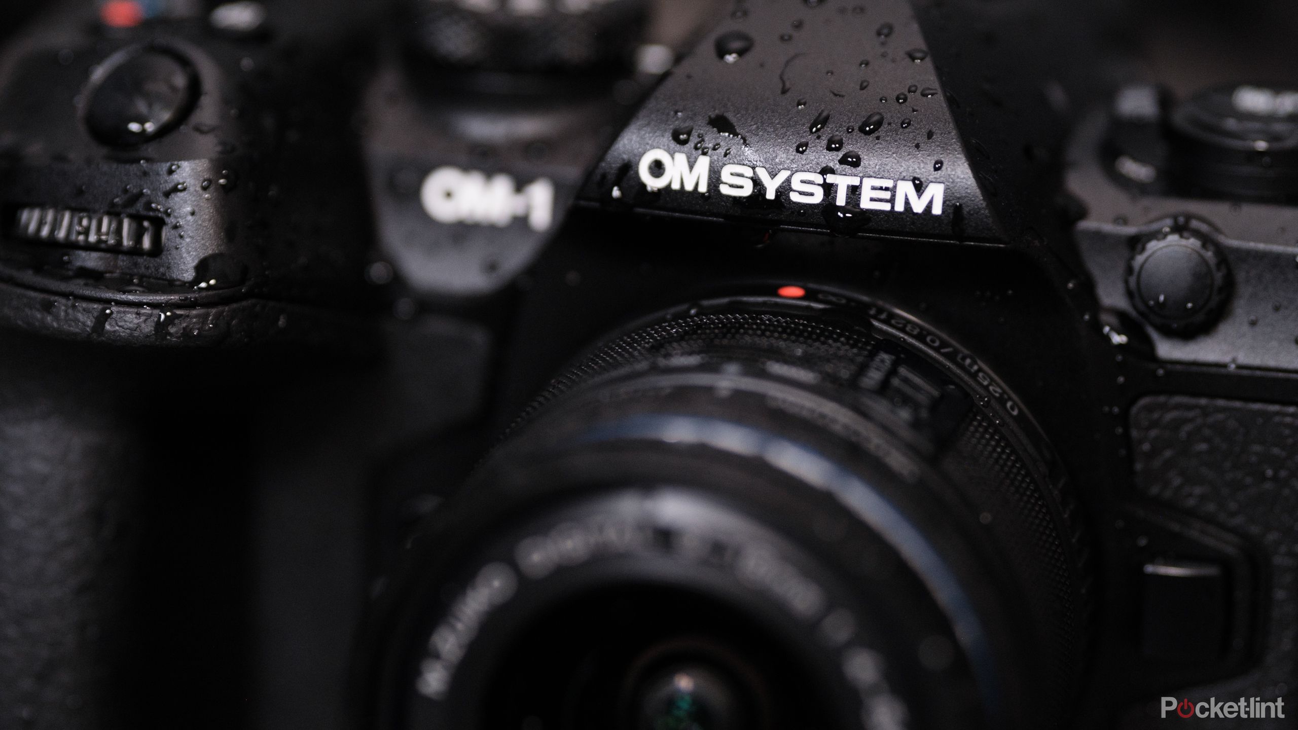 OM-system-OM-1-mark-ii-review-hillary-grigonis-pocket-lint-product-40