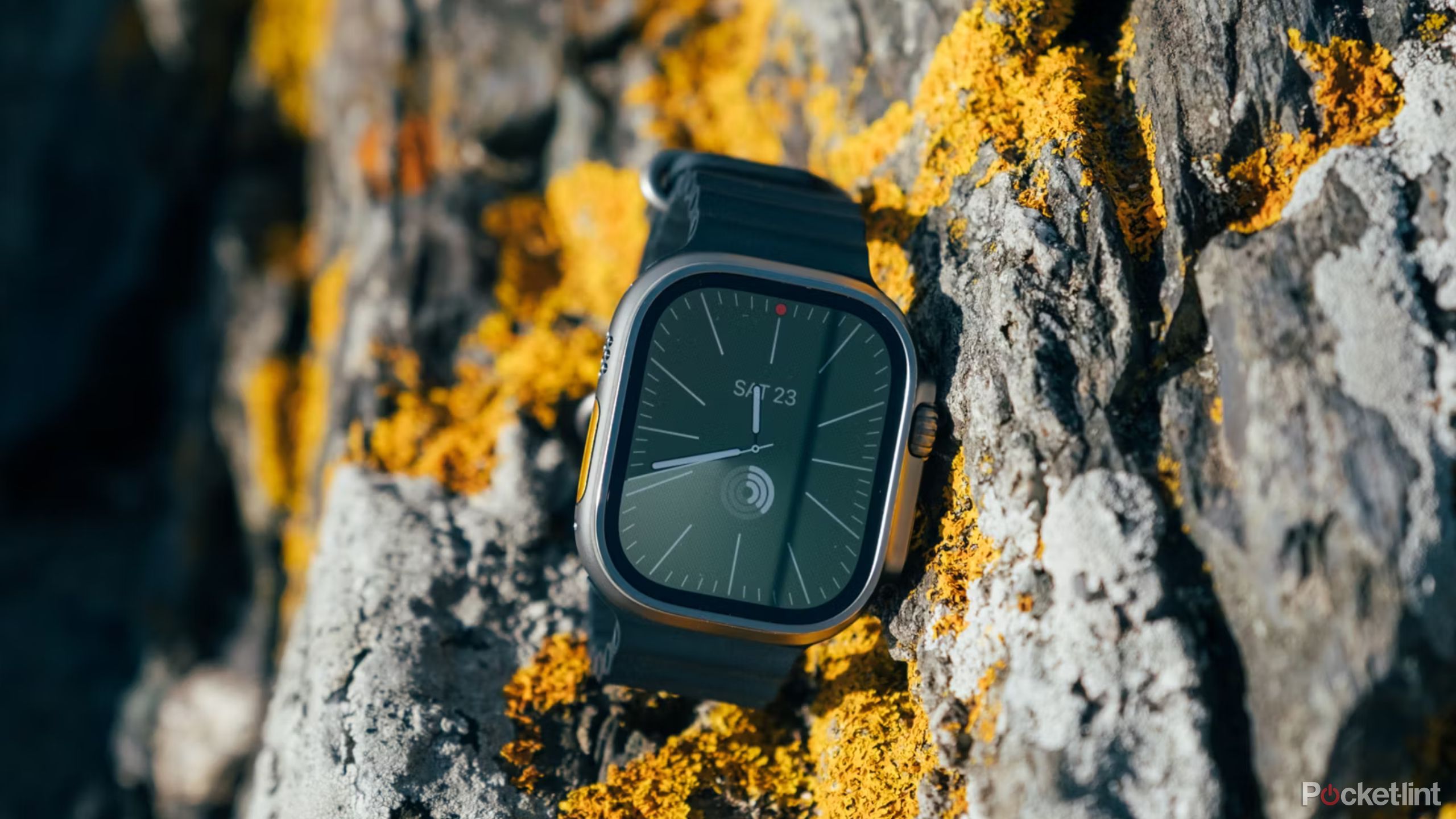 An Apple Watch Ultra 2 resting on rocks.