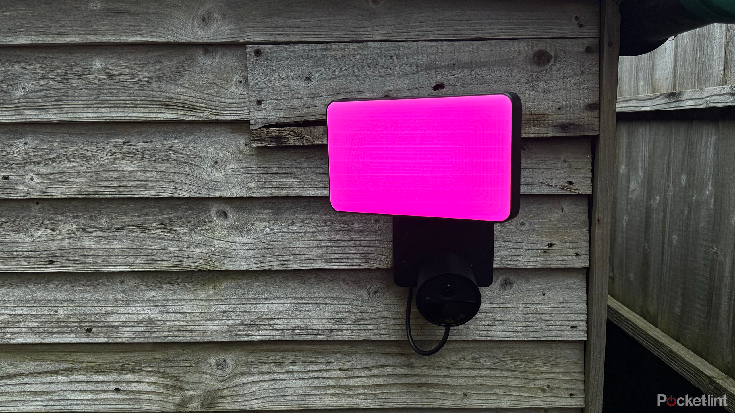 philips hue secure floodlight pink