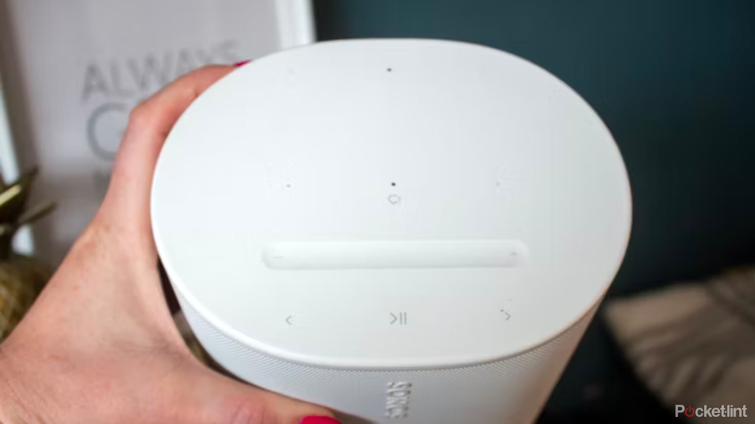 The way to reset your Sonos speaker - BuyStellarFinds