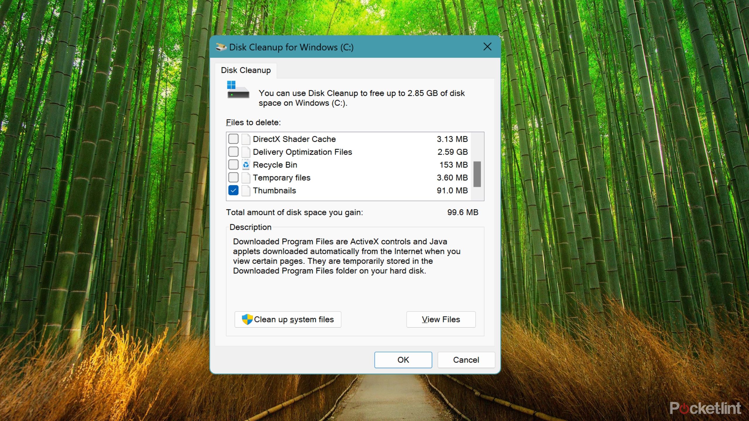 The Disk Cleanup menu in Windows 11.