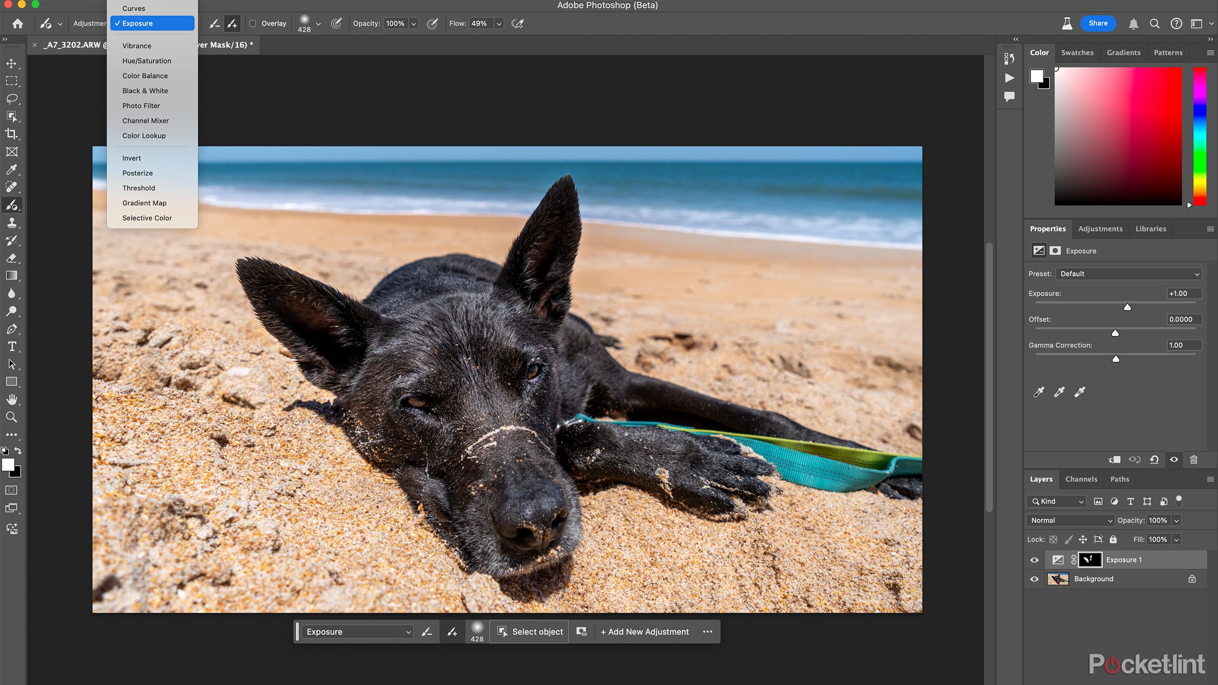 A screenshot of Adobe Photoshop Beta's Adjustment Brush tool