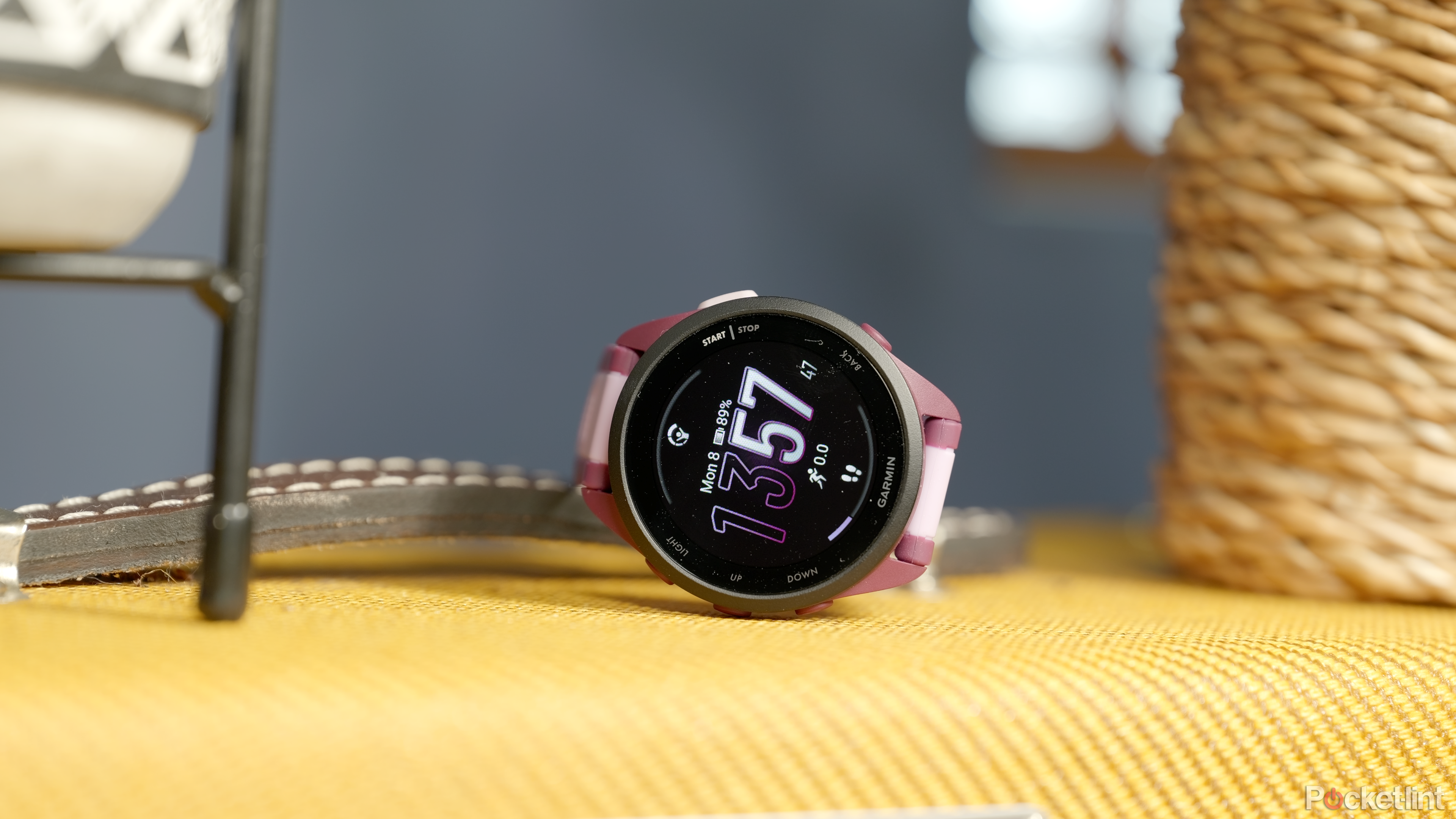 The free watchface that comes with the Forerunner 165