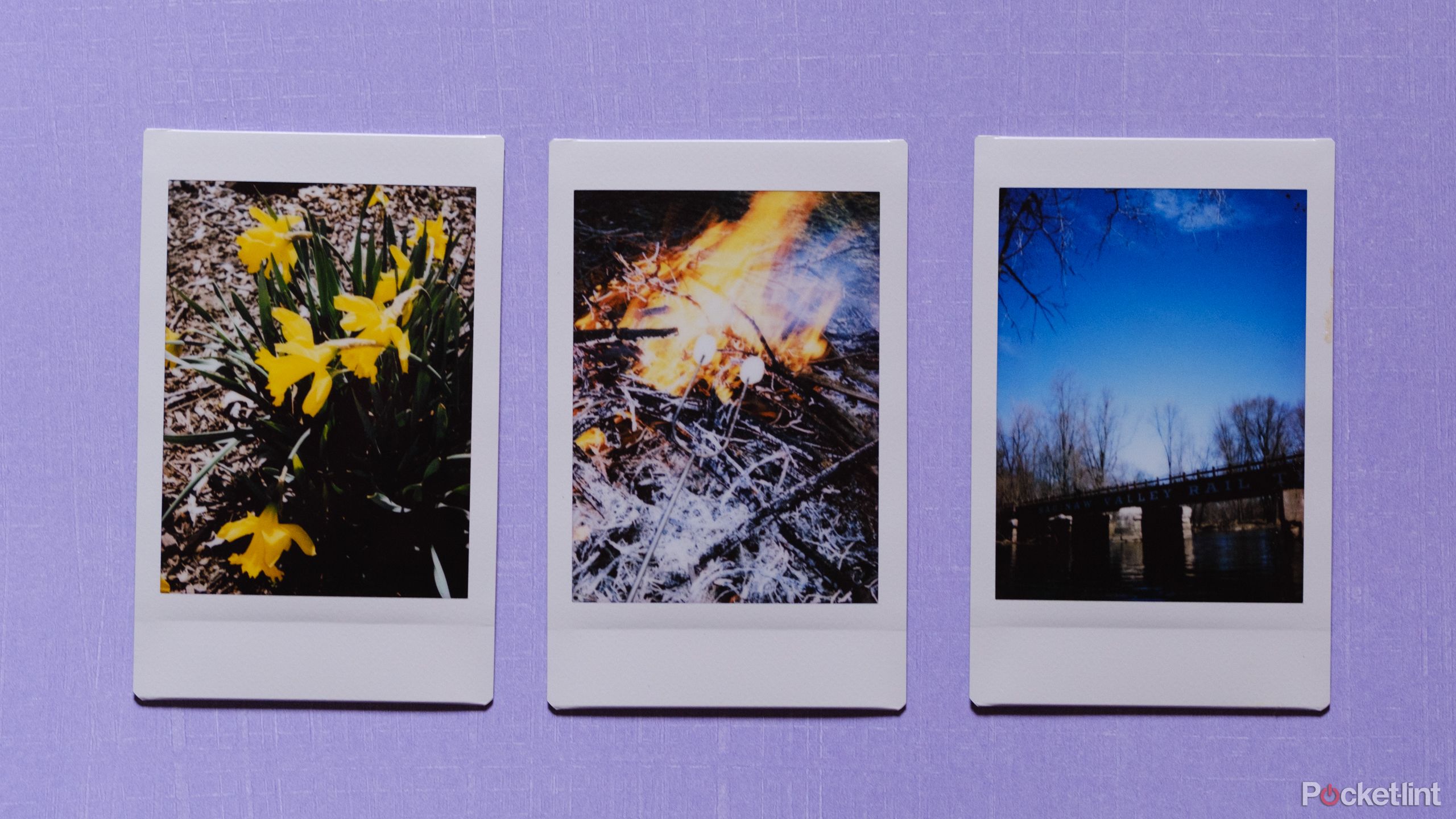 A photo of instant film from the Fujifilm Instax Mini 12