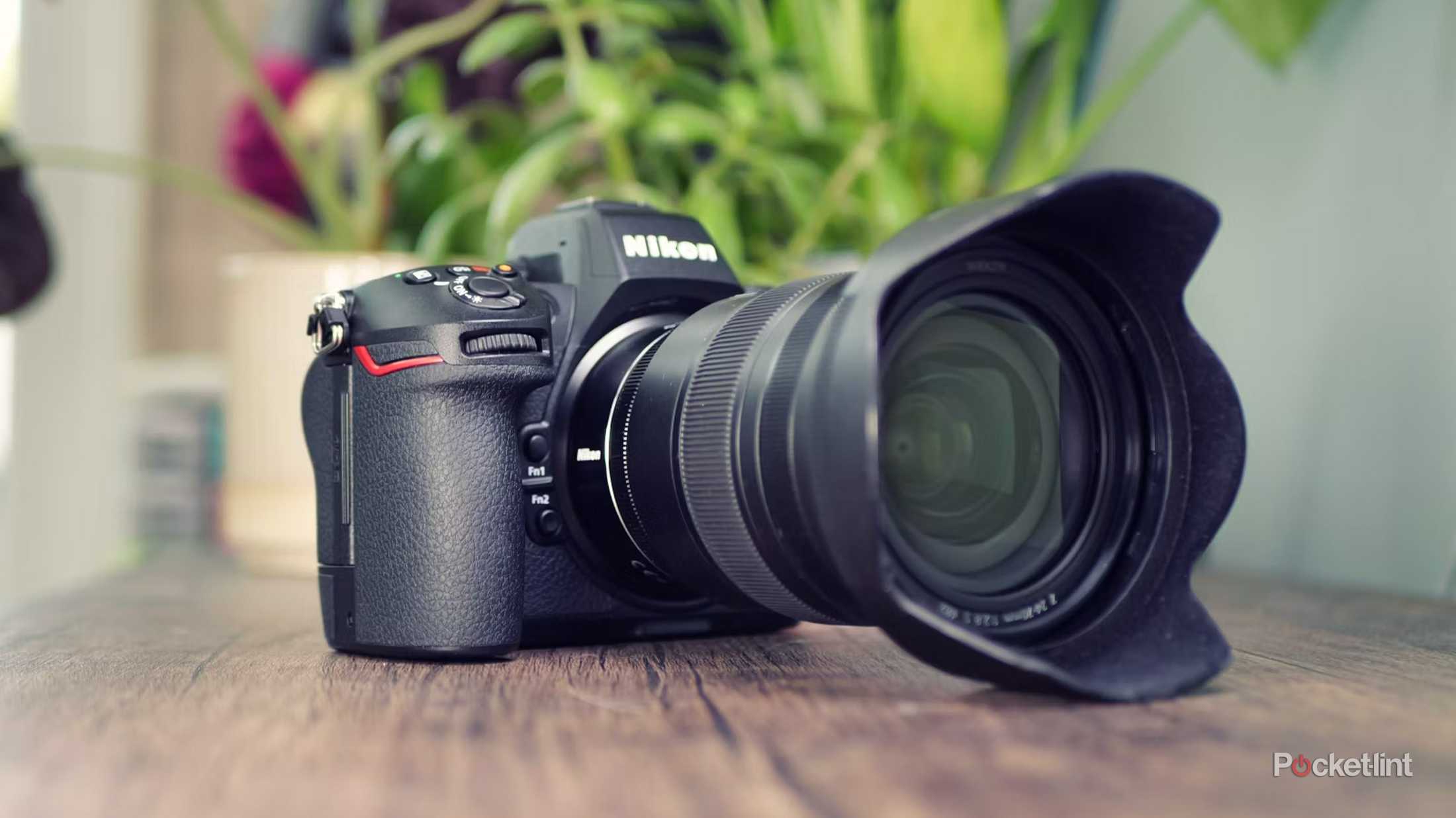 Nikon Dslr Top Dslr For Beginners Lens Best Dslr Camera Under