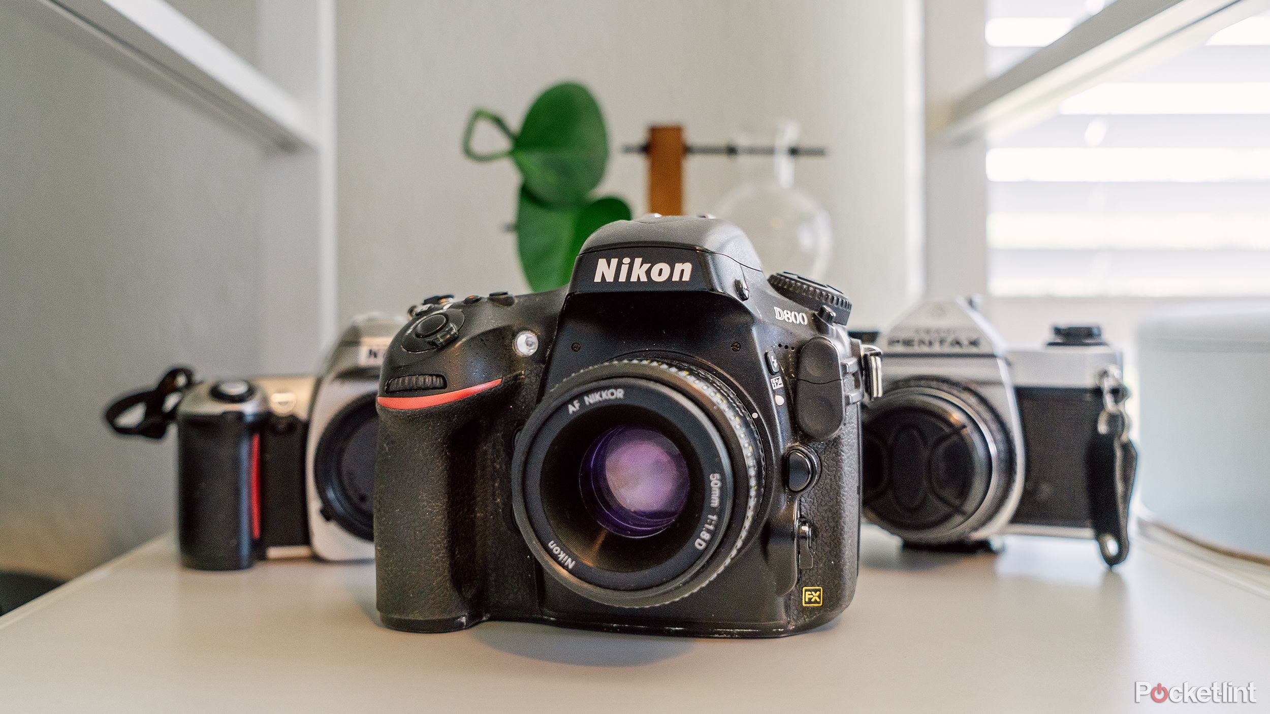 A Nikon D800 sits in front of two film cameras on a shelf. 
