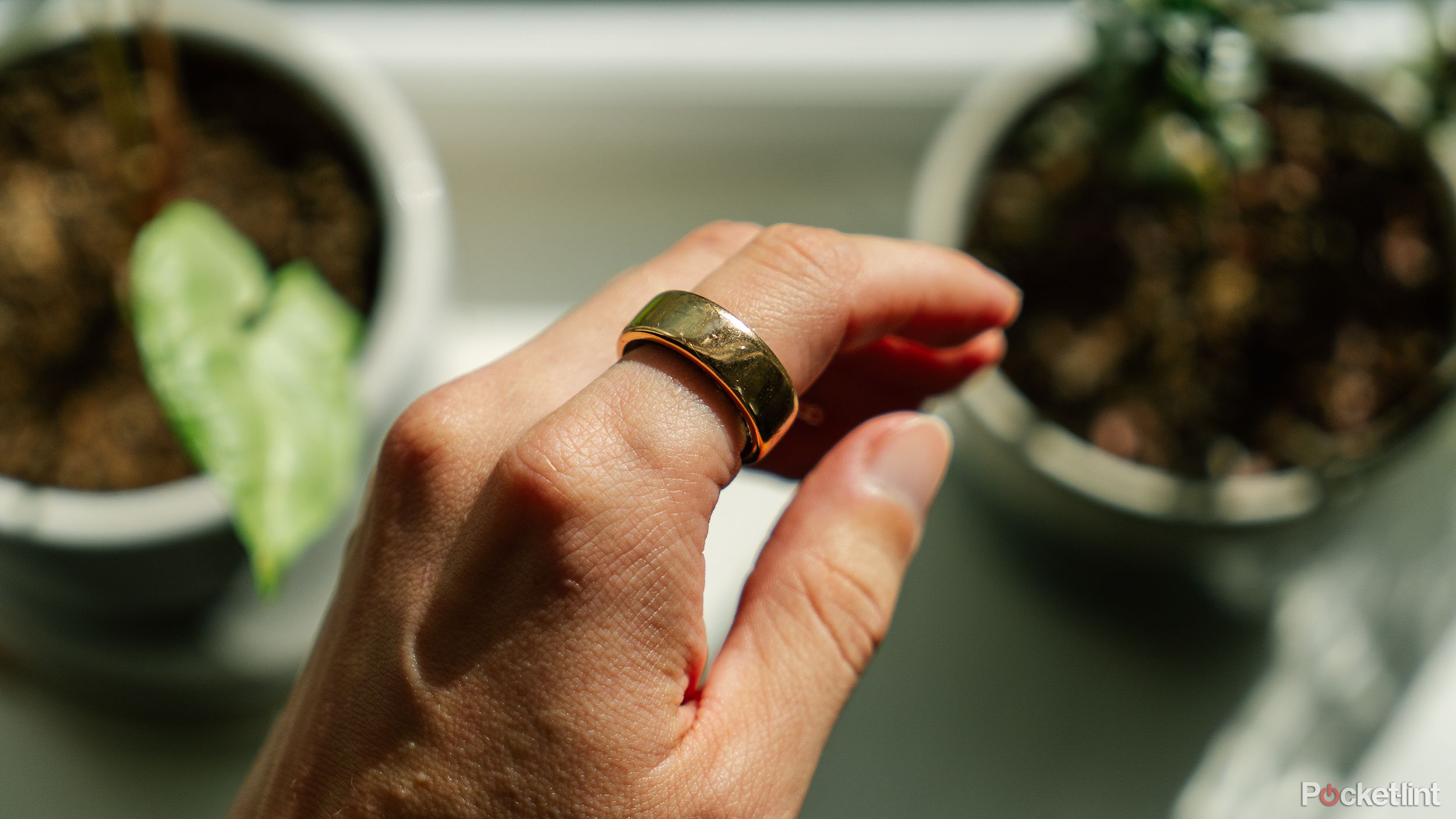 A hand wears the Oura Ring in front of some plants on a windowsill. 