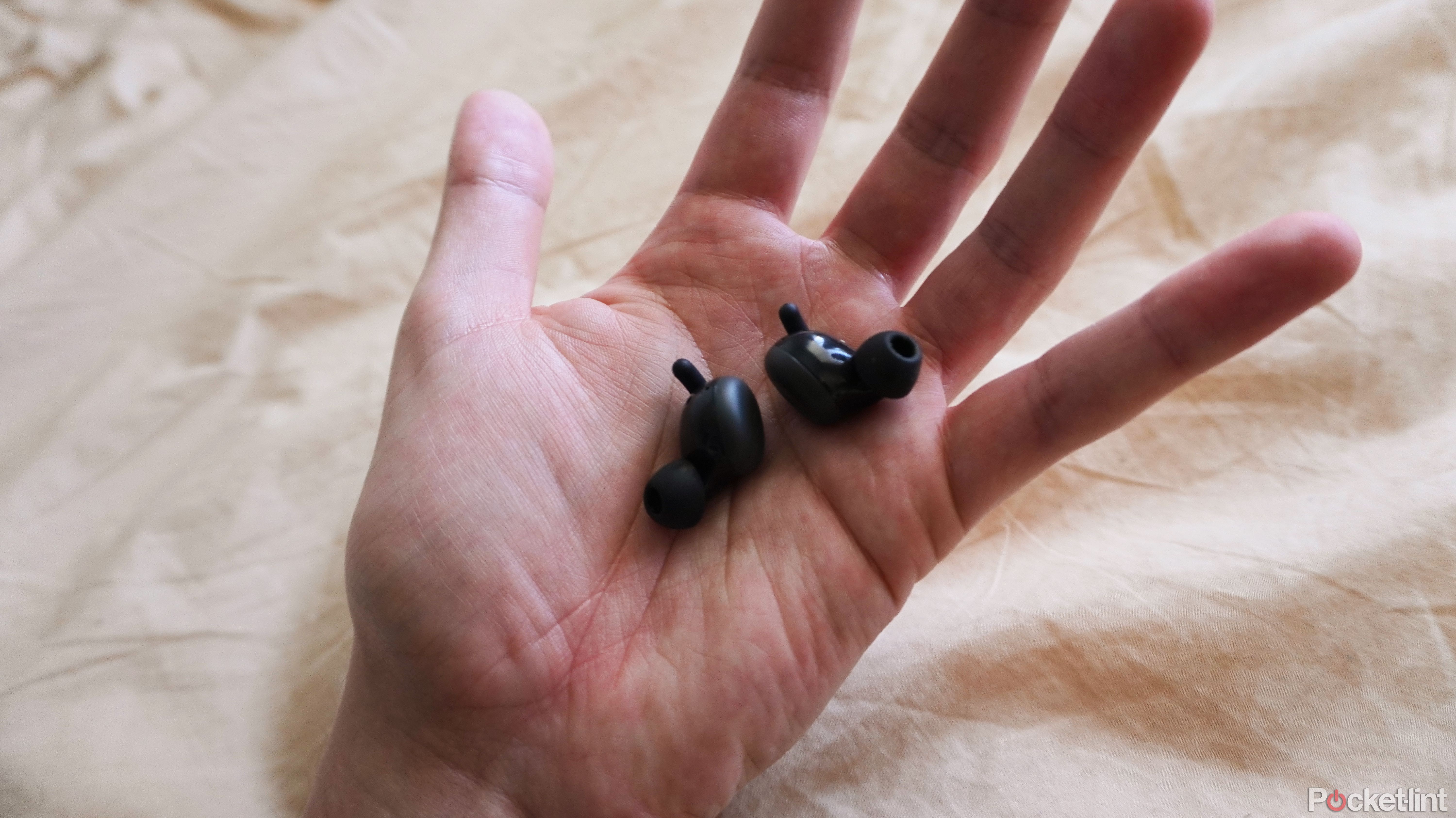 Two Pixel Buds with ear tips and flexible wings visible.