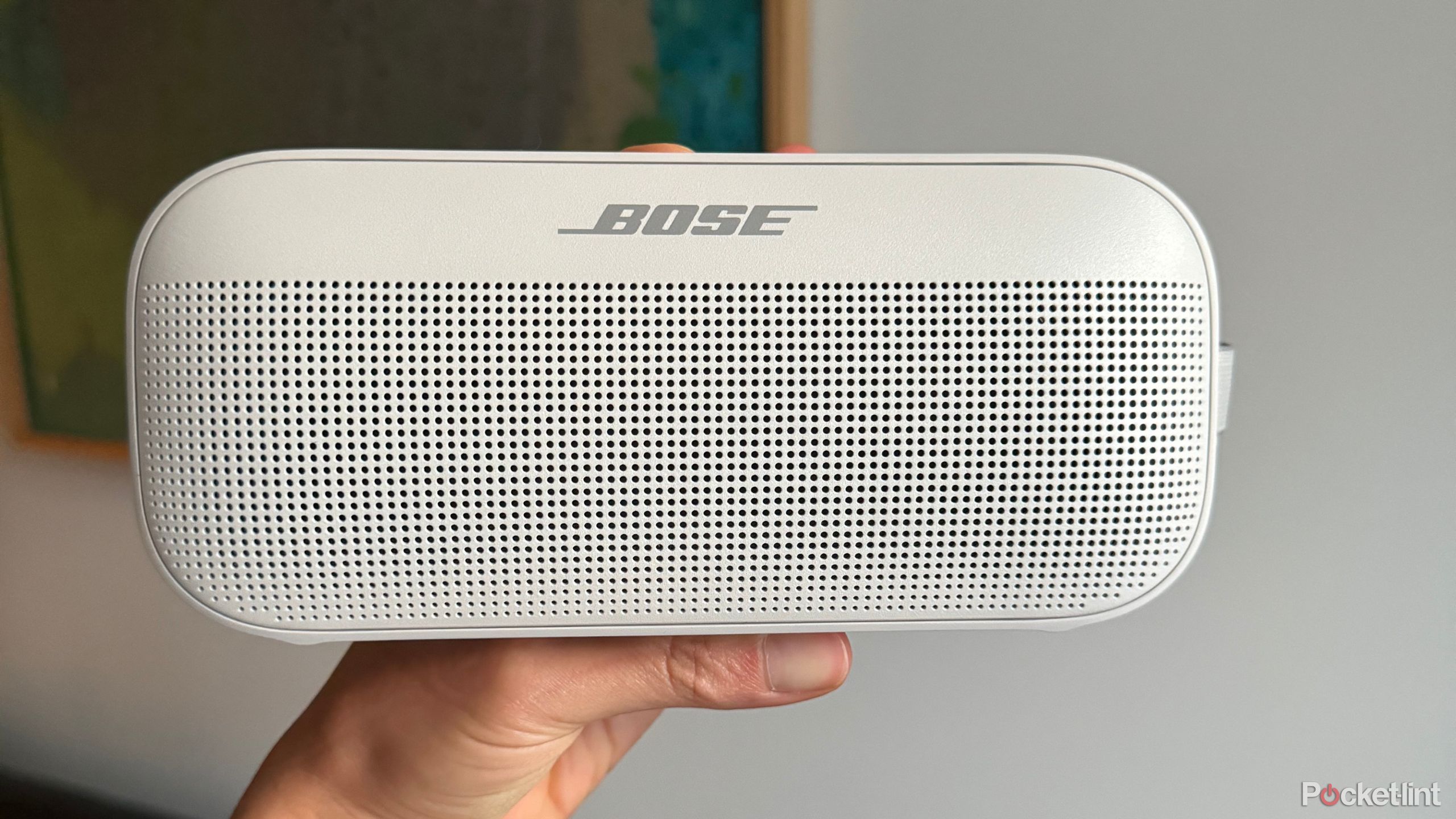 Bose SoundLink Flex review: Old speaker, old tricks, new go-to