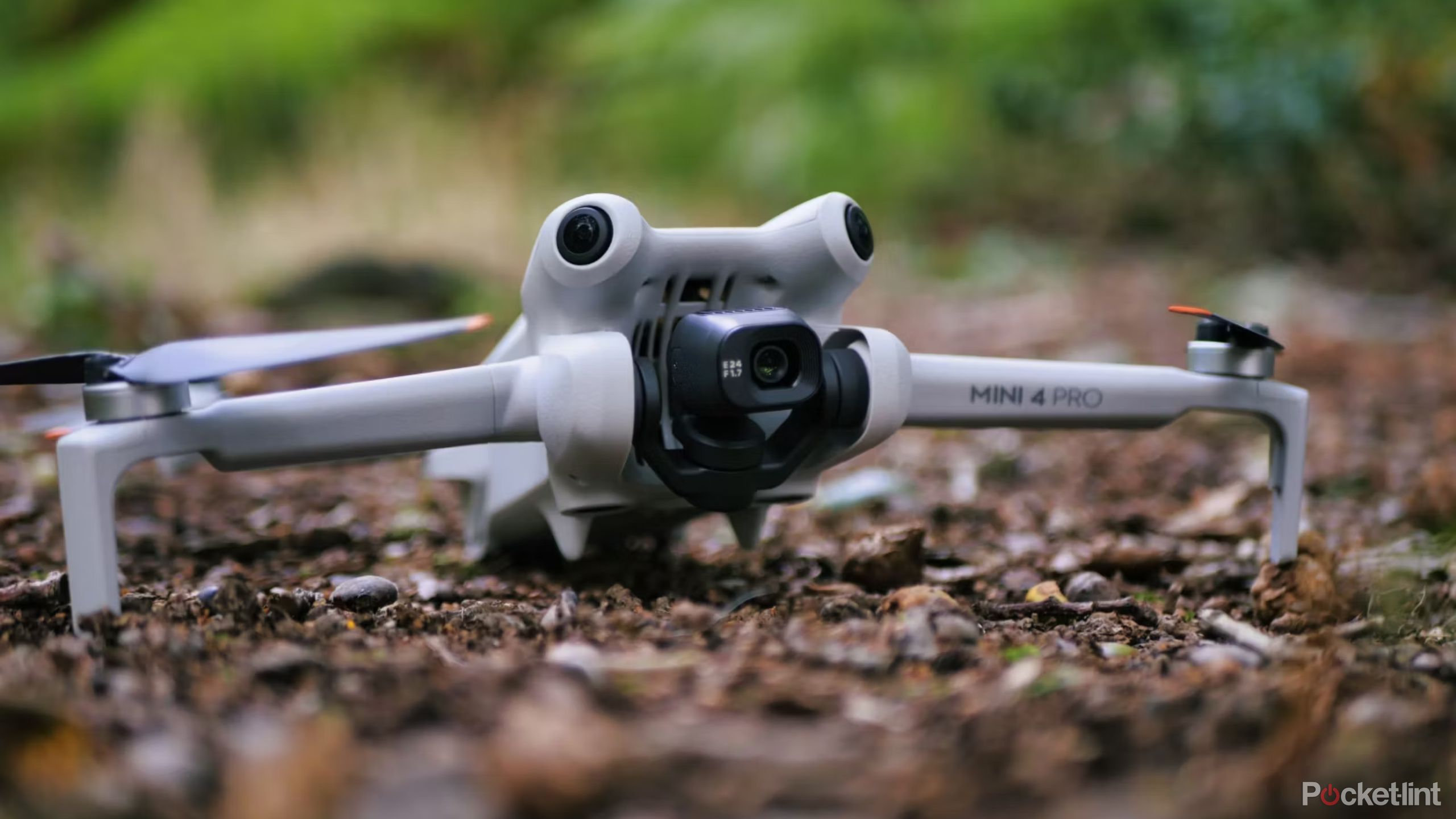 DJI Mini 4 Pro sitting on a leafy forest floor.