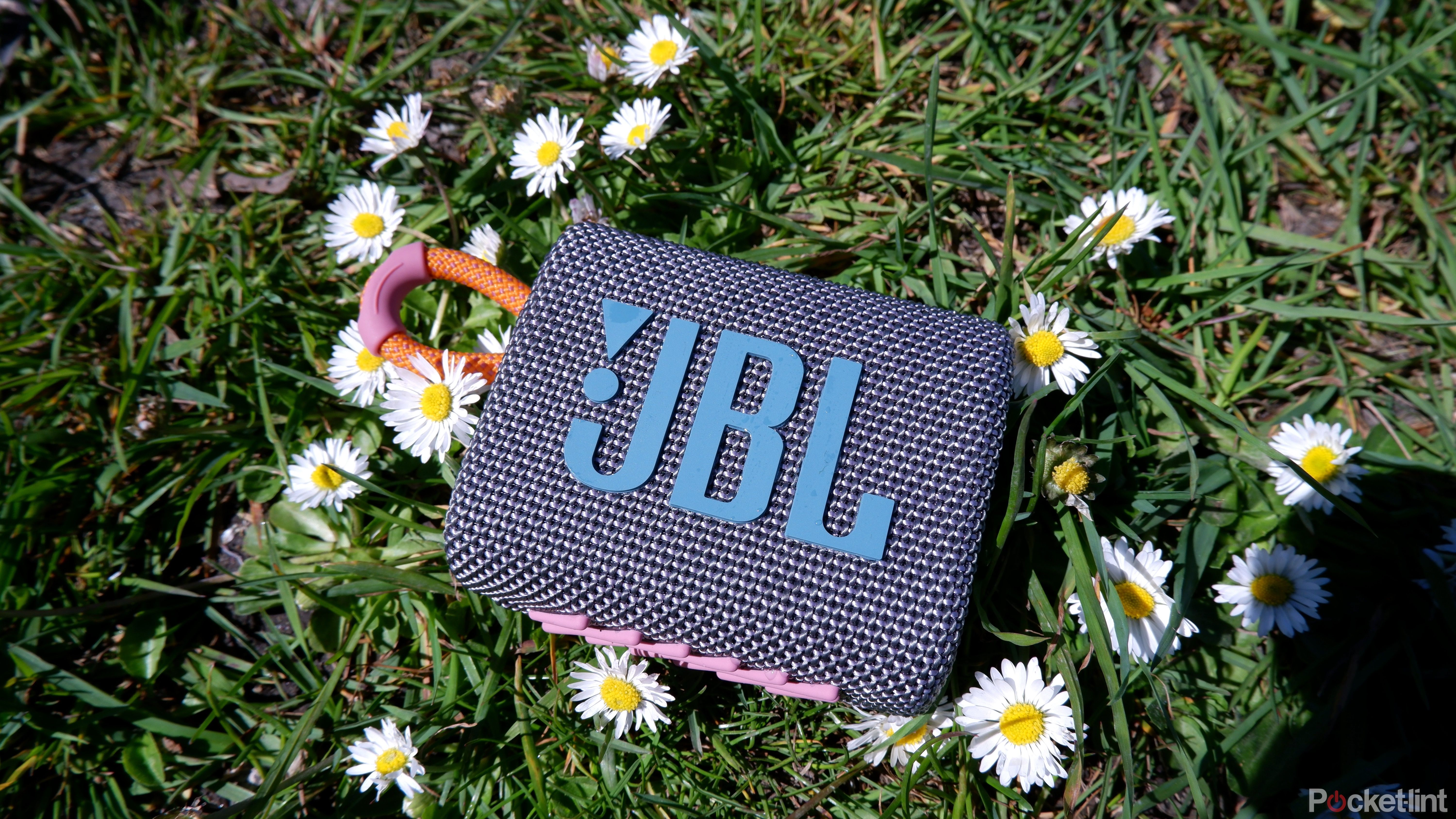 JBL Go 3 in the grass among daisies