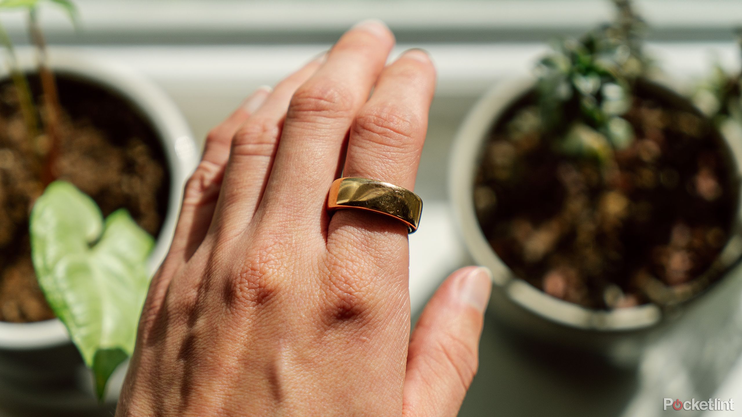 A hand with the Oura ring in front of blurred out plants on a windowsill. 