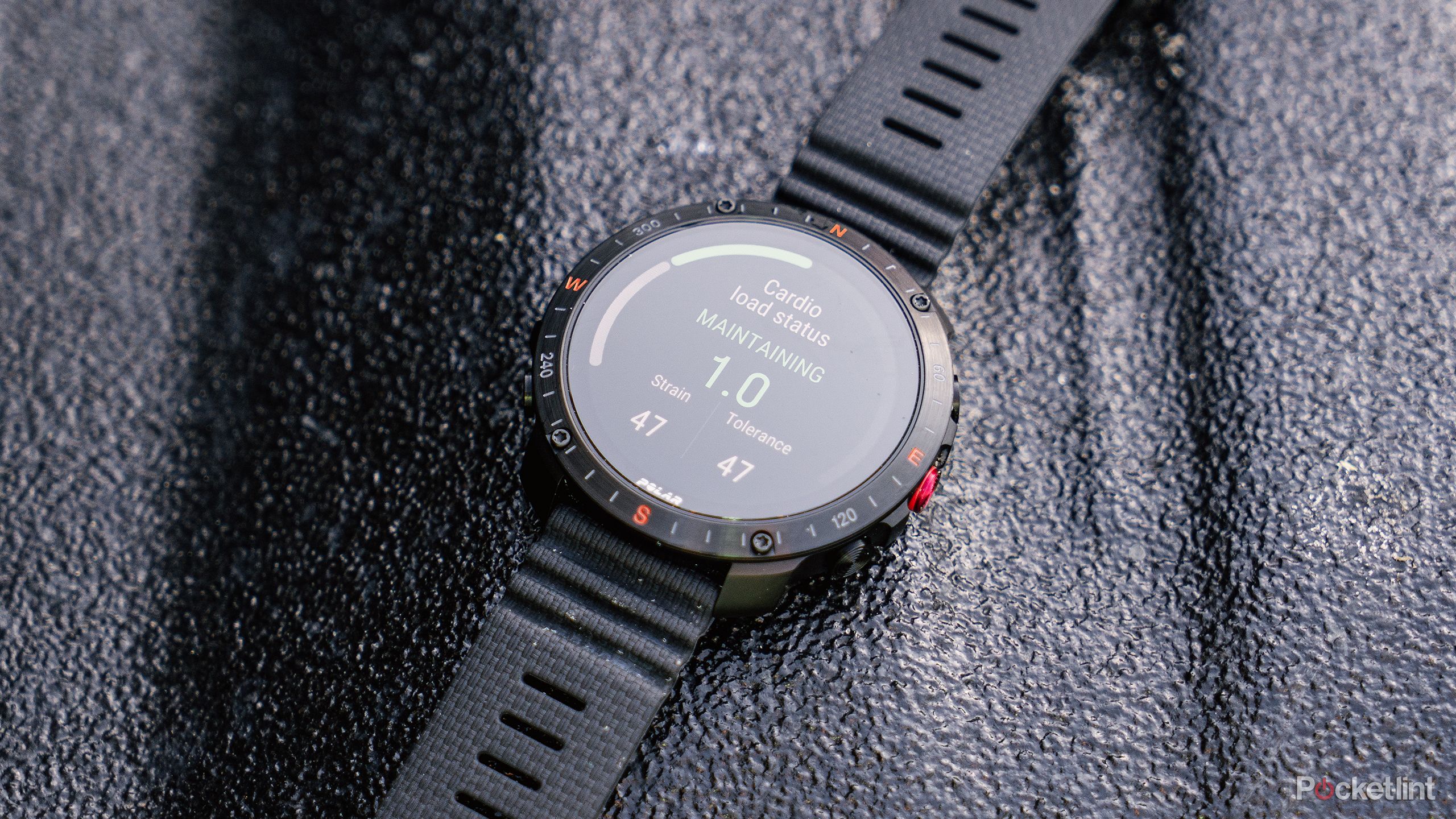 Garmin Fenix Polar Vantage M Vs Forerunner 235 Garmin Polar