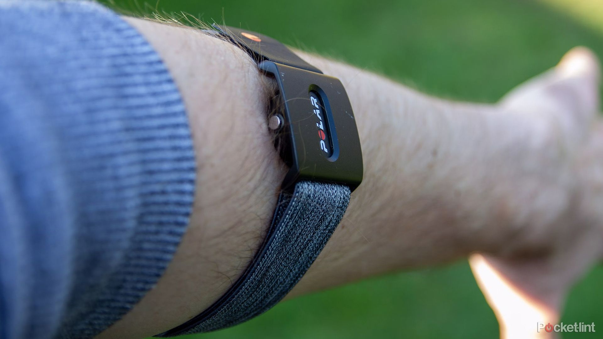 The Polar Verity Sense's armband fit.