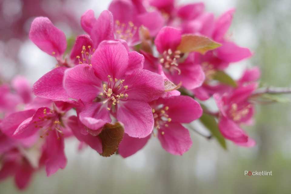 Ricoh GR III HDF review: A unique but slow compact camera