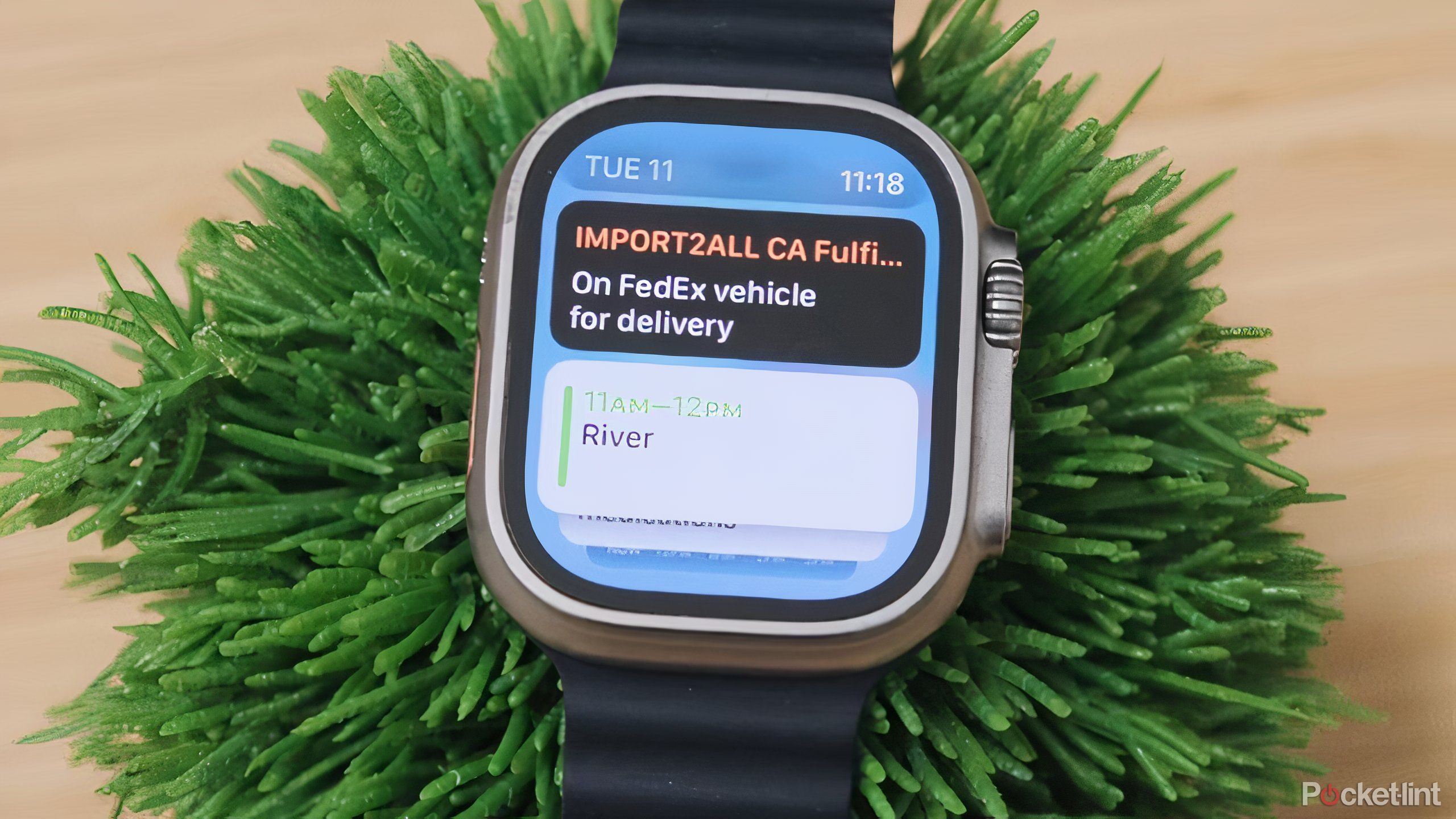 Apple Watch OS10 on a plant.