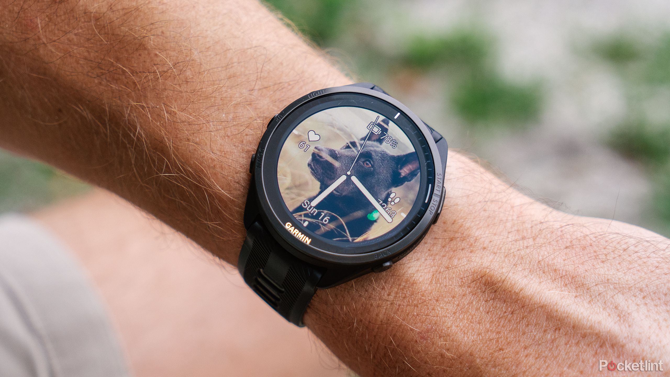 How to create a Garmin watch face from scratch