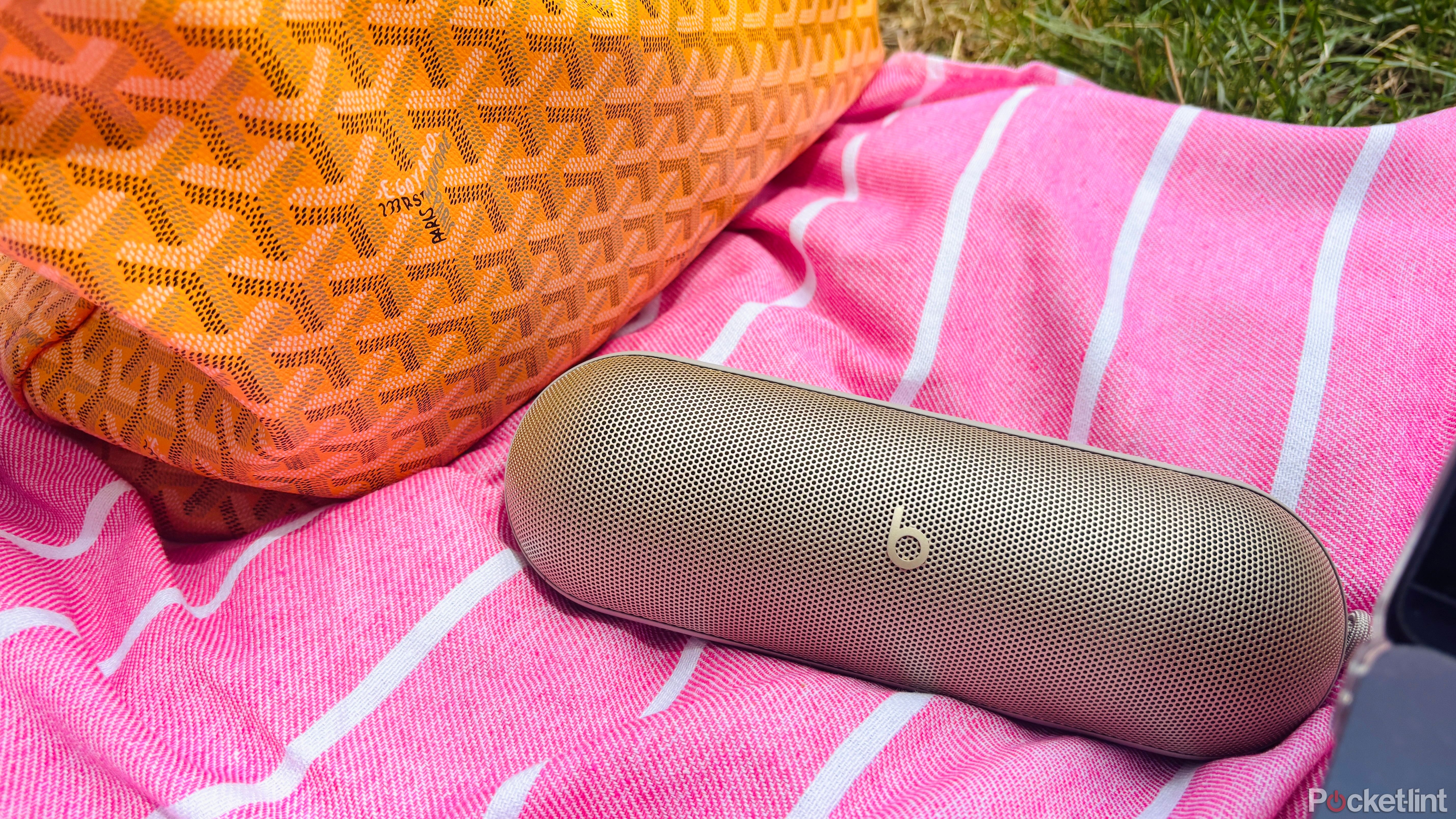 Beats Pill 2024 