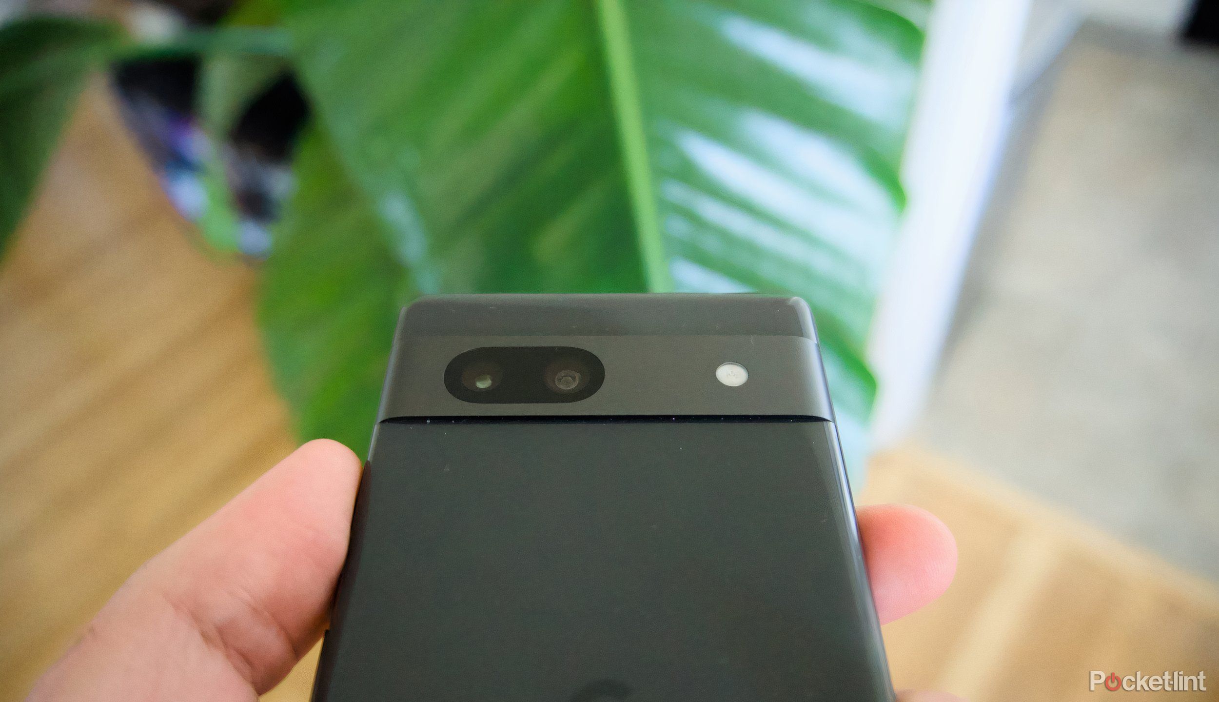 The back camera of Pixel 7a.
