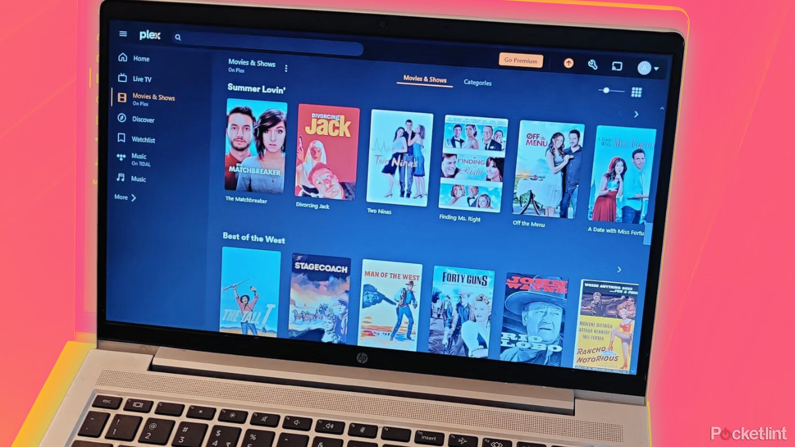 Plex Movies and Shows screen on laptop
