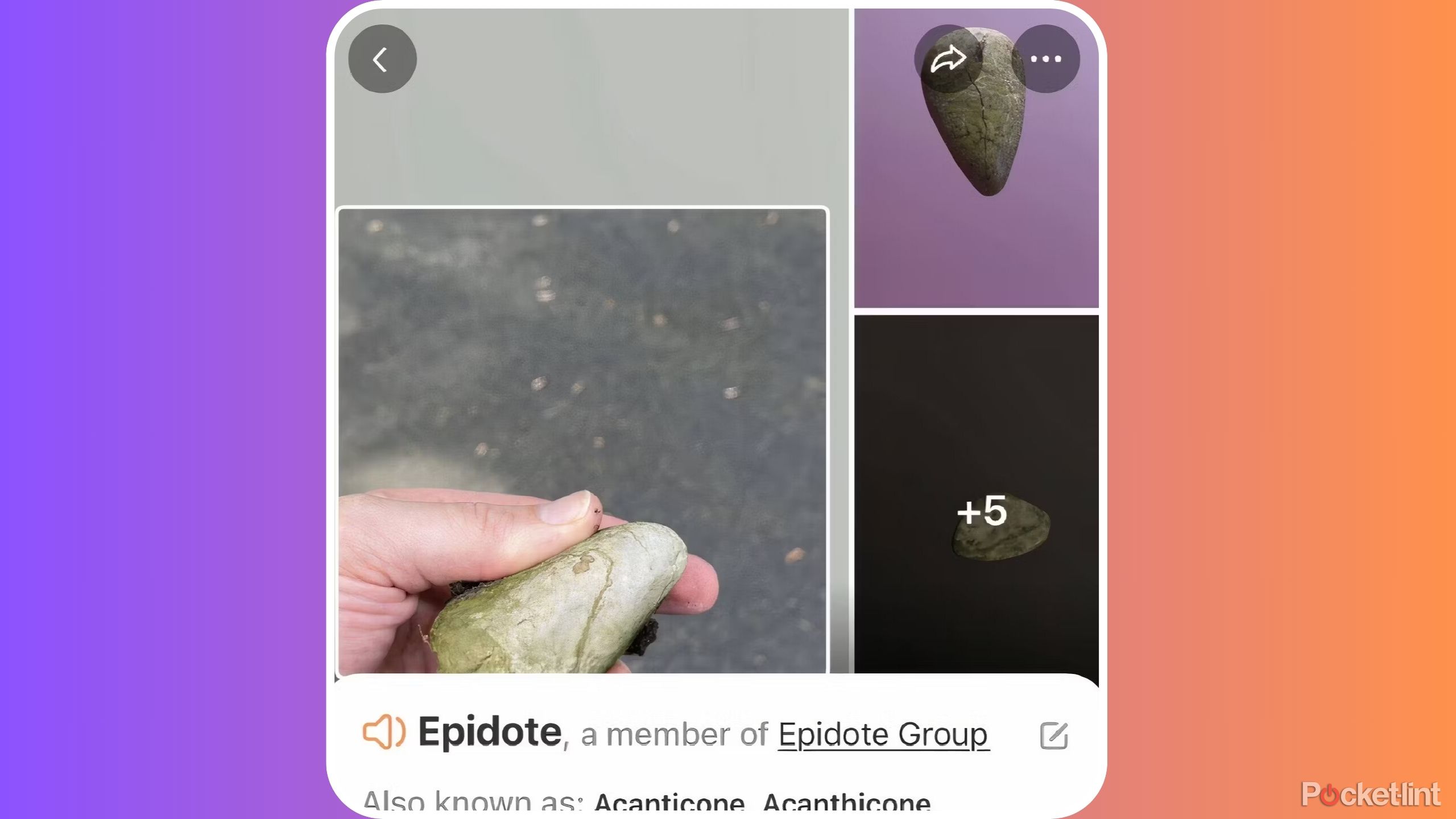 rock definition epidote page result