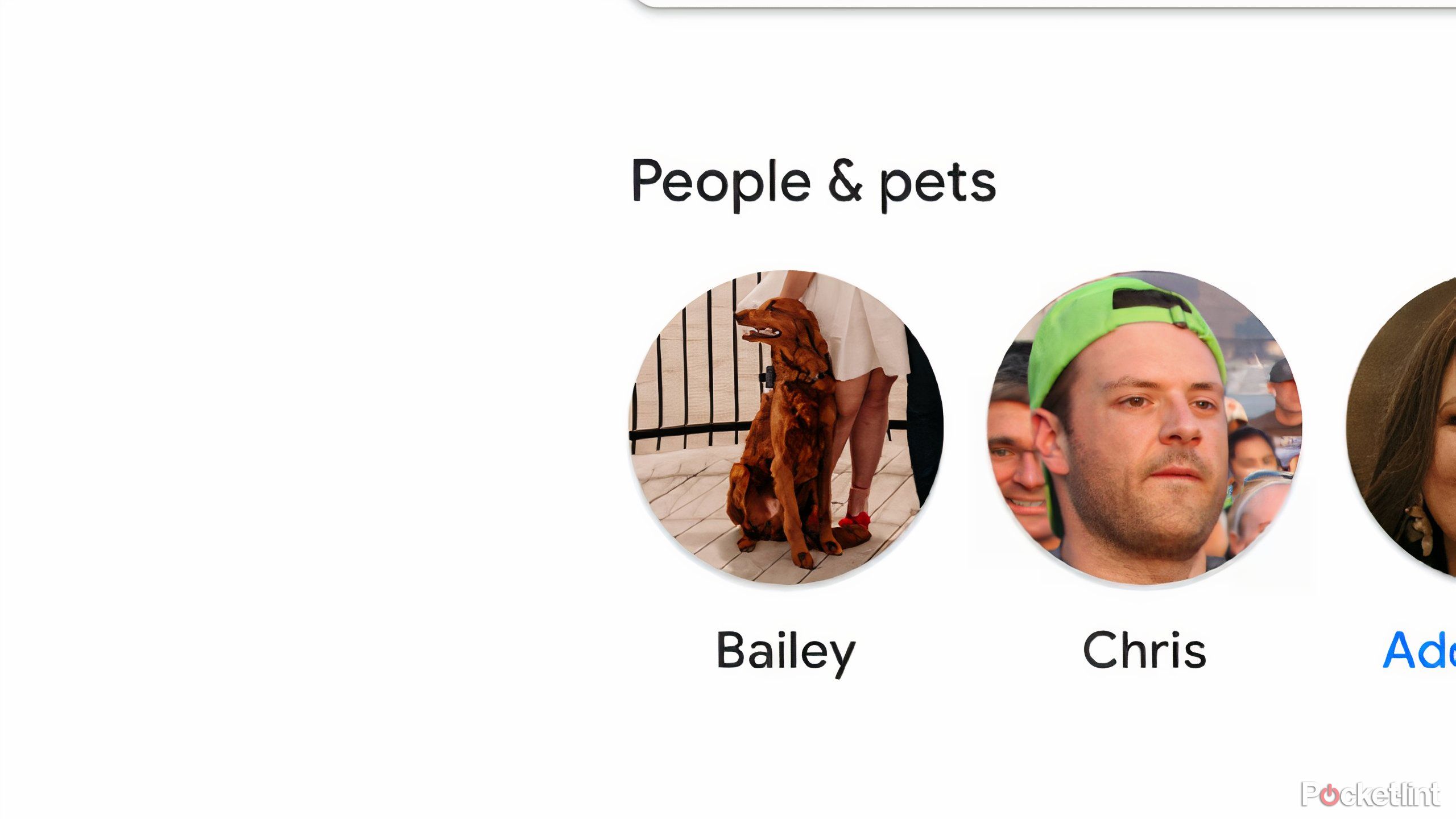 sort by person feature in Google Photos