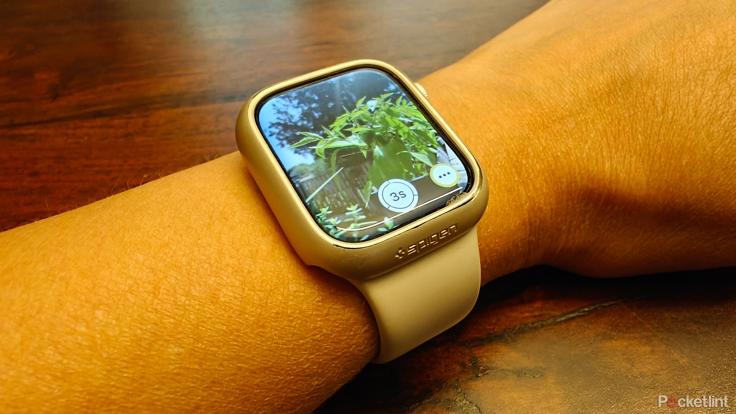 An image of a plant outdoors shown on an Apple Watch screen on a wrist