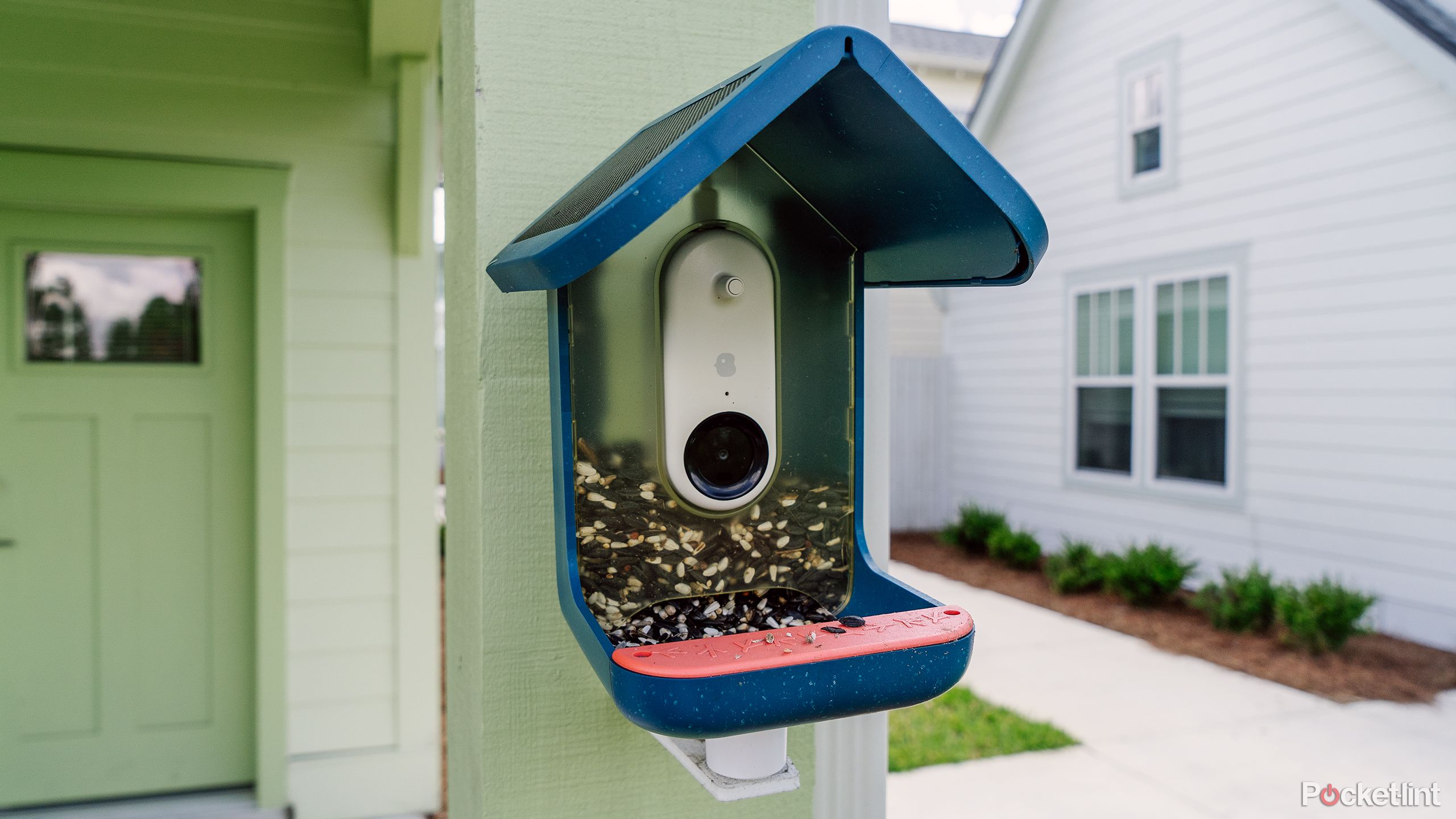 The Bird Buddy Smart Bird Feeder mounted to a post in front of a house. 