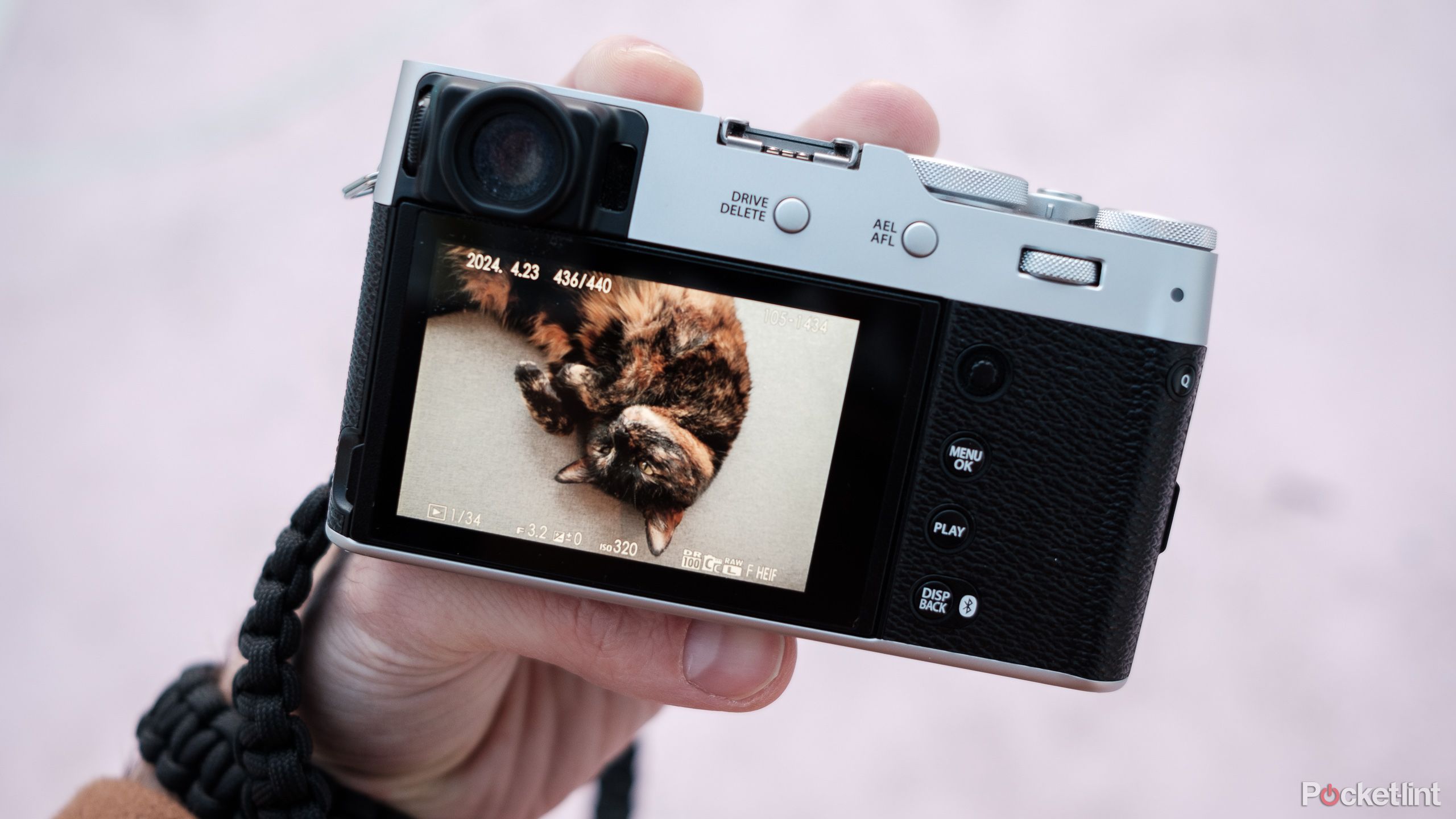 A man holds the X100VI in his hand, with a picture of a tortoiseshell cat on the screen 