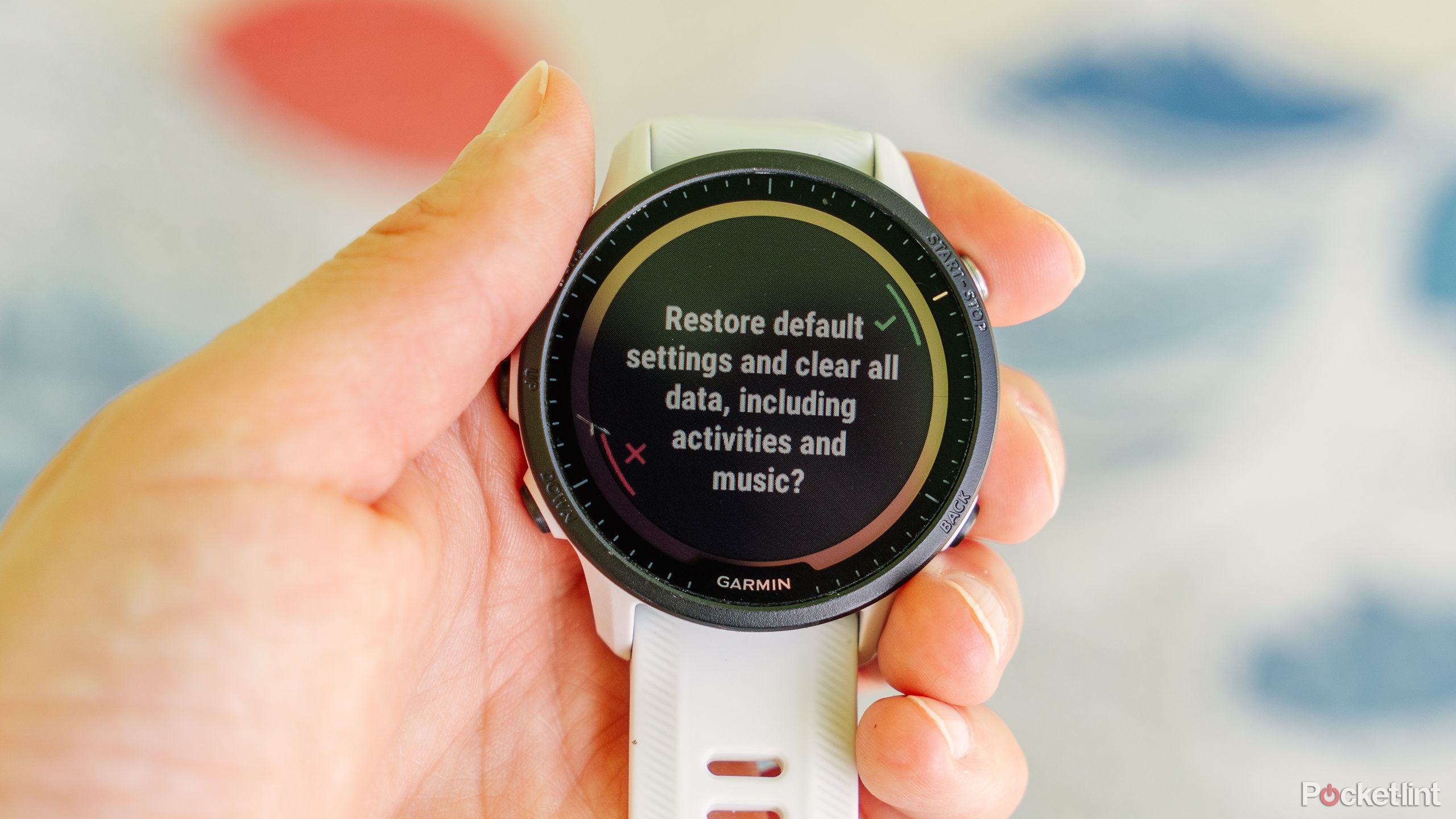 A hand holds a Garmin Forerunner 955 Solar in front of a blue and white background. 