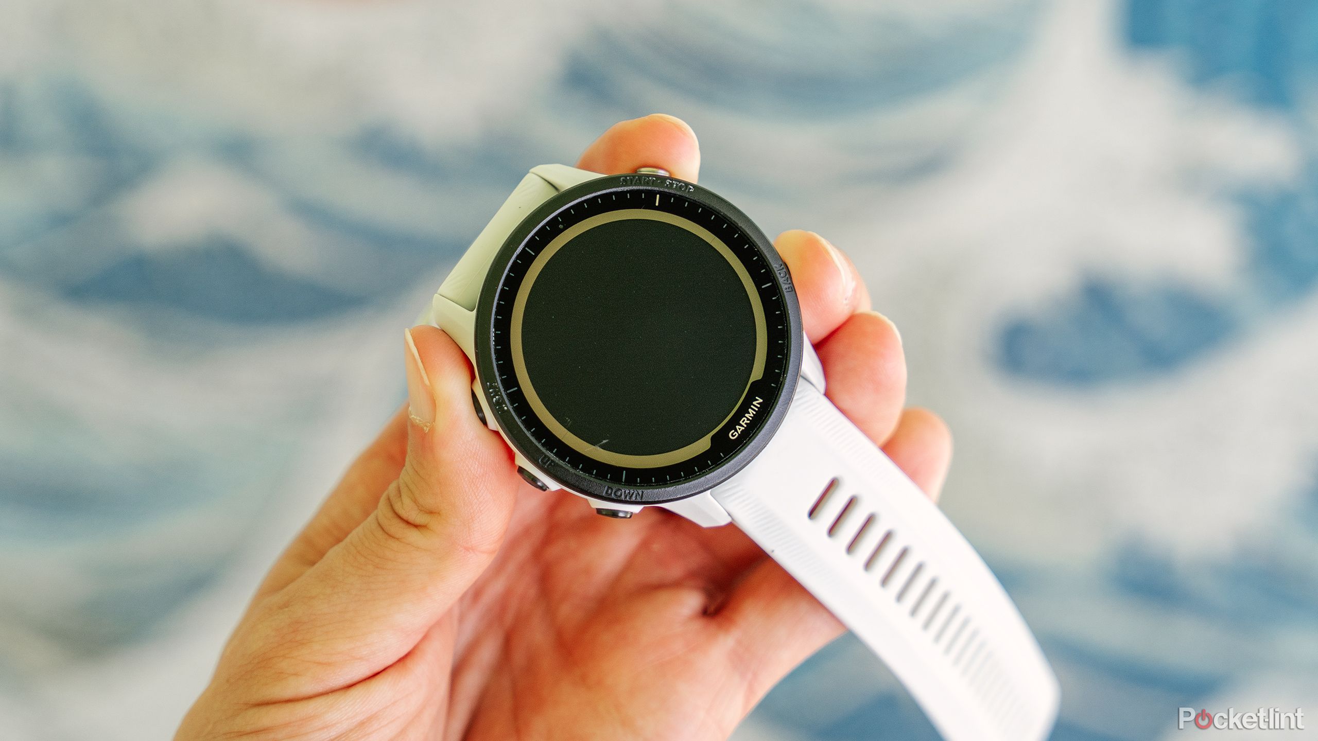 A hand holds a Garmin Forerunner 955 Solar in front of a blue and white background. 