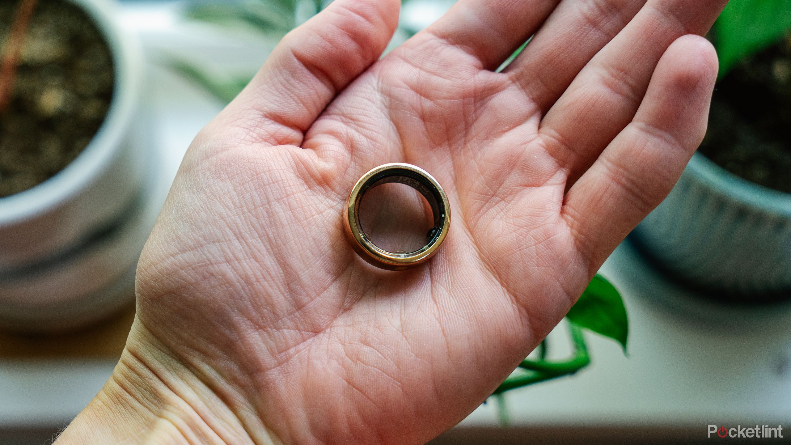 The Oura Ring Gen 3 in a hand above a windowsill of plants. 