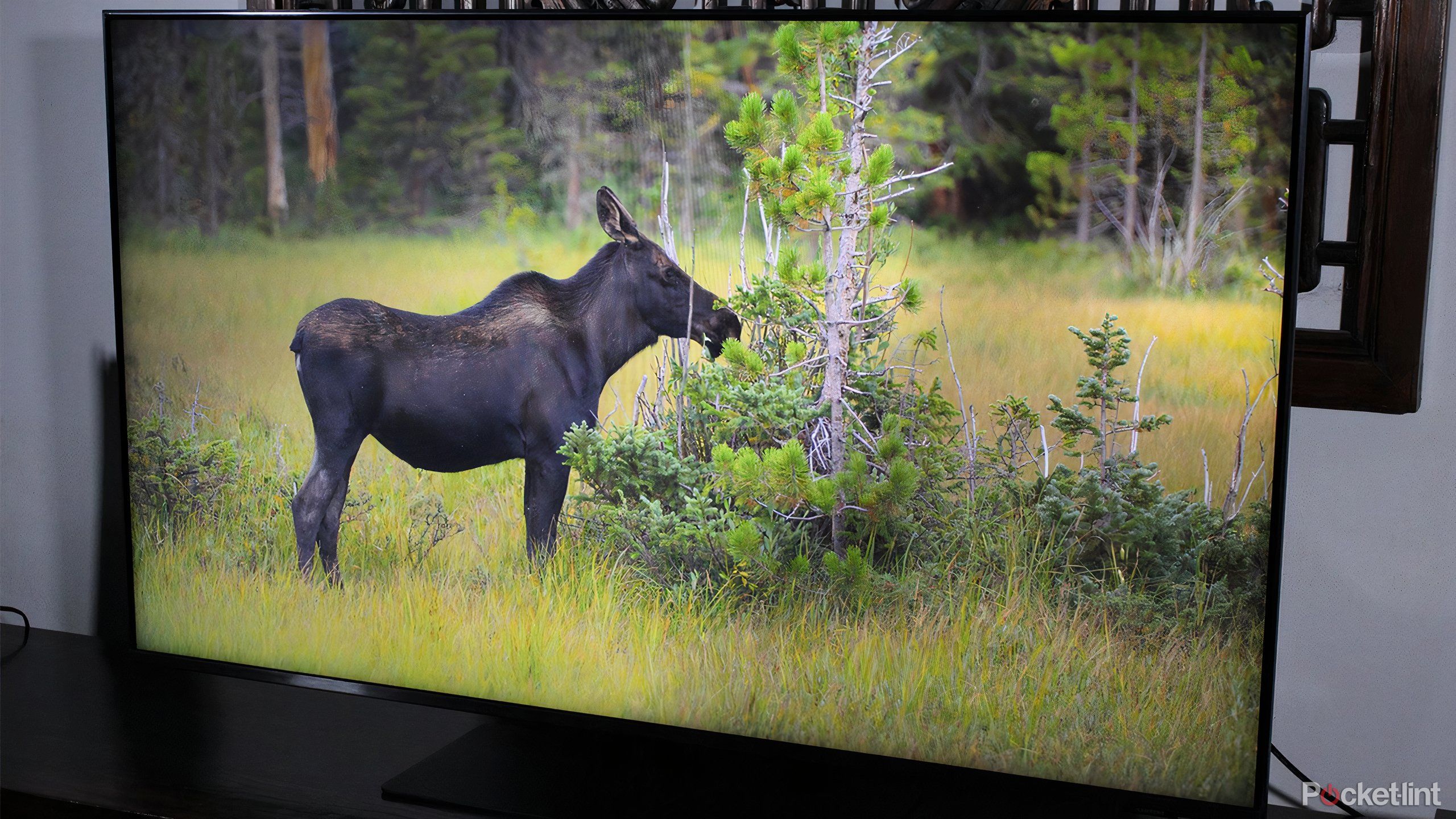 Samsung's QN90A Neo-QLED 4K TV.