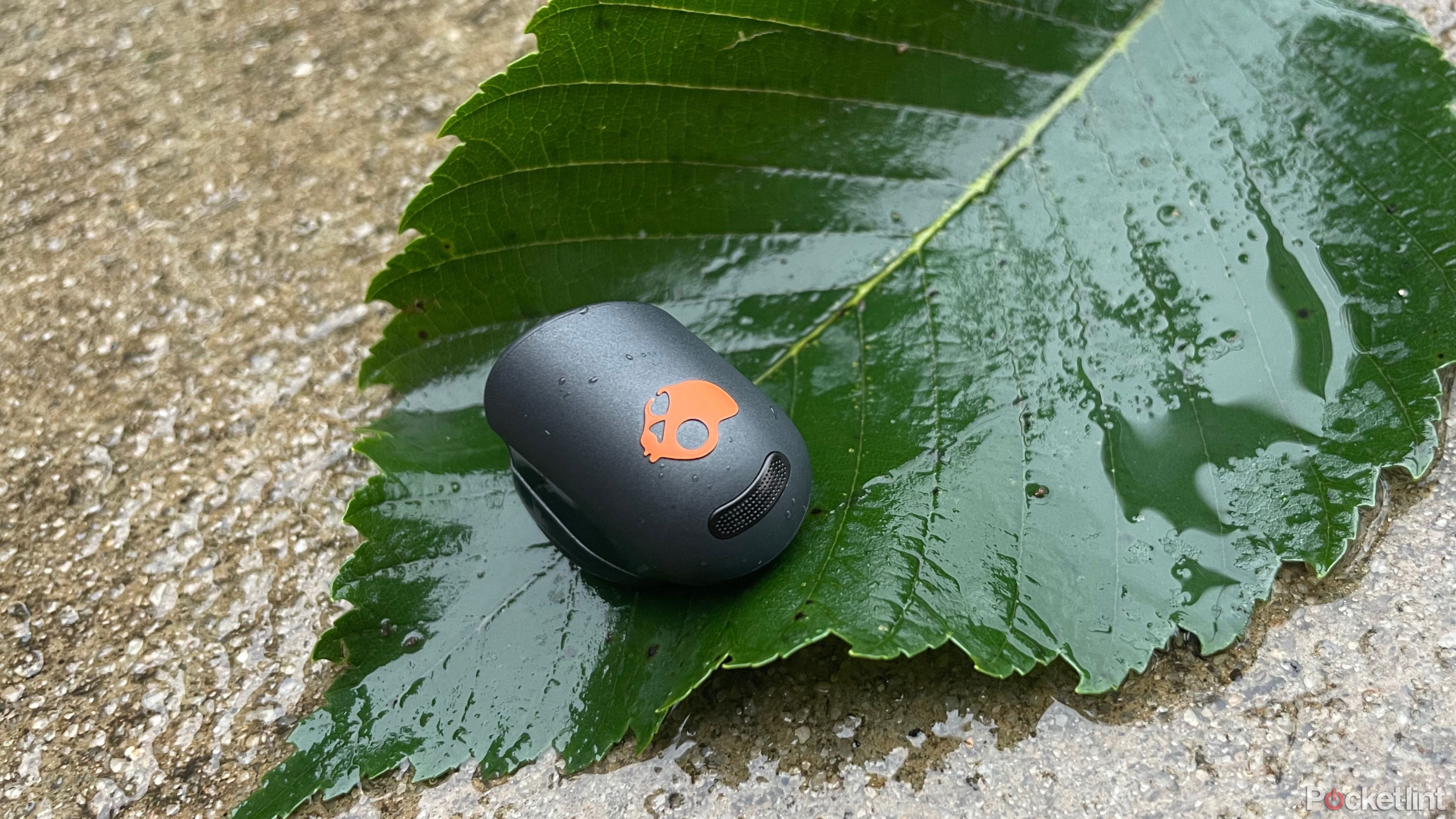 An Skullcandy Sesh ANC Active earbud on a wet leaf