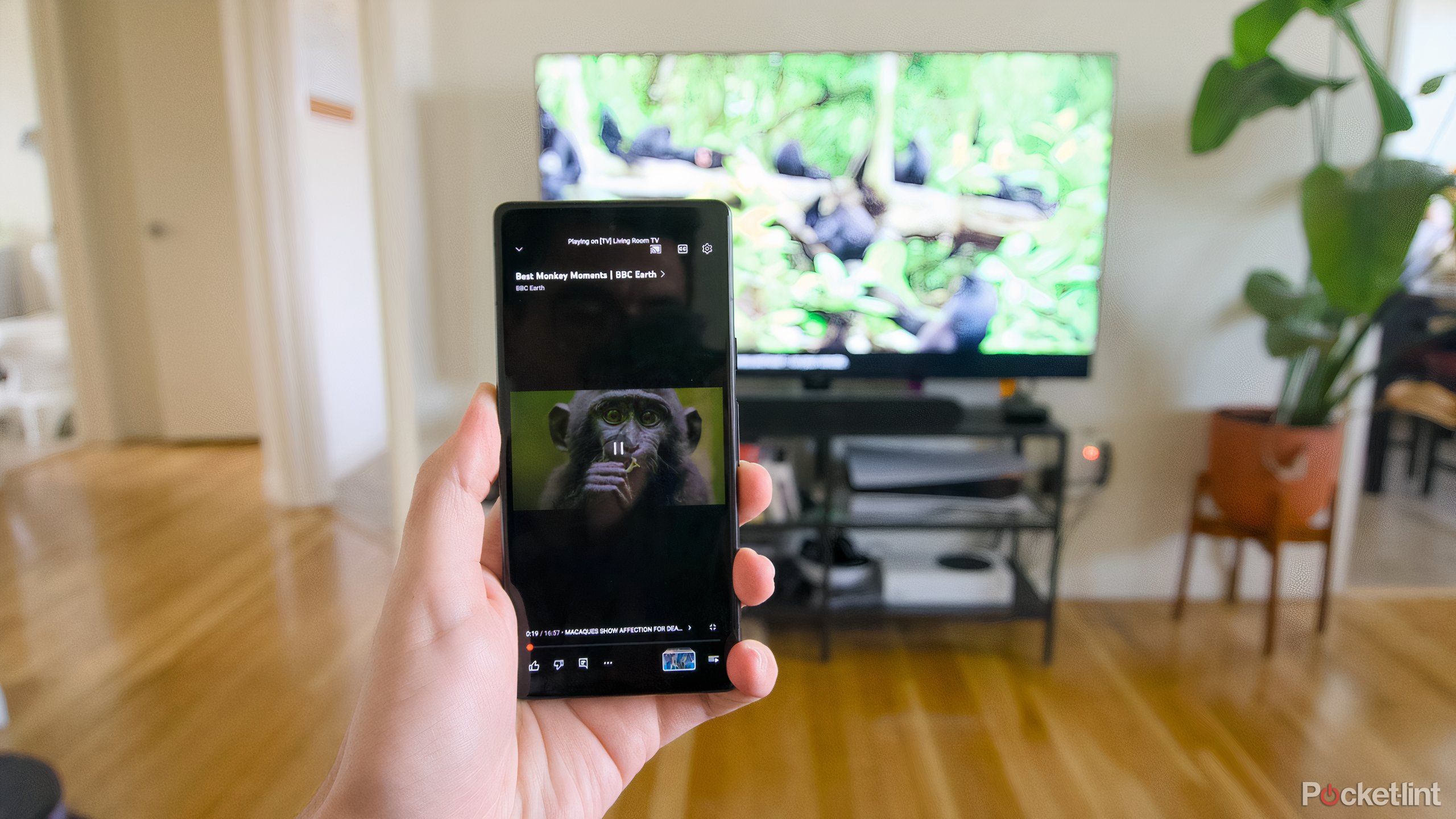 Casting a YouTube video to a TV.